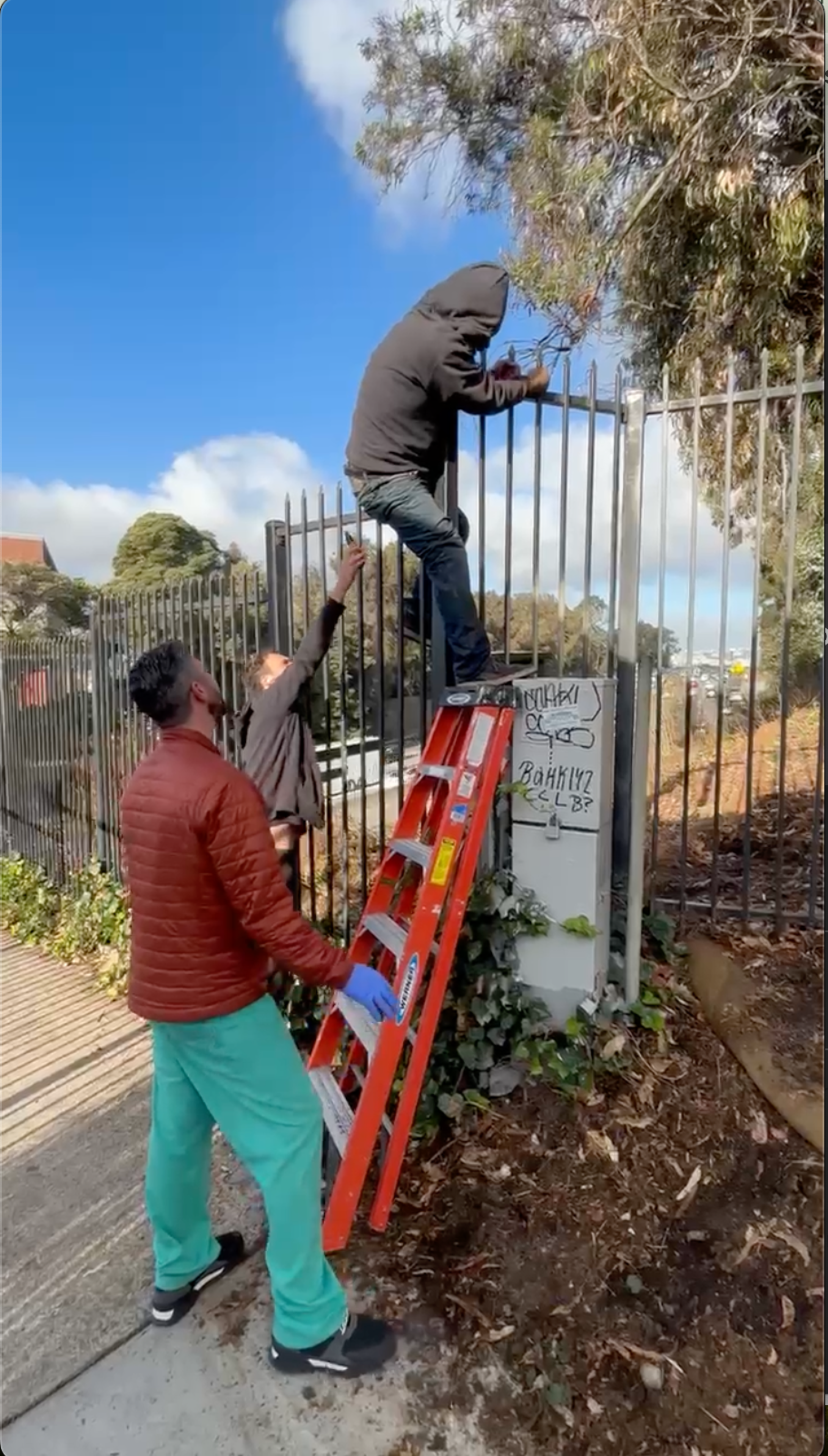 Three people are near a tall fence. One person stands on an orange ladder wearing a hoodie. Another holds the ladder, and a third reaches up. Itâ€™s a bright day.