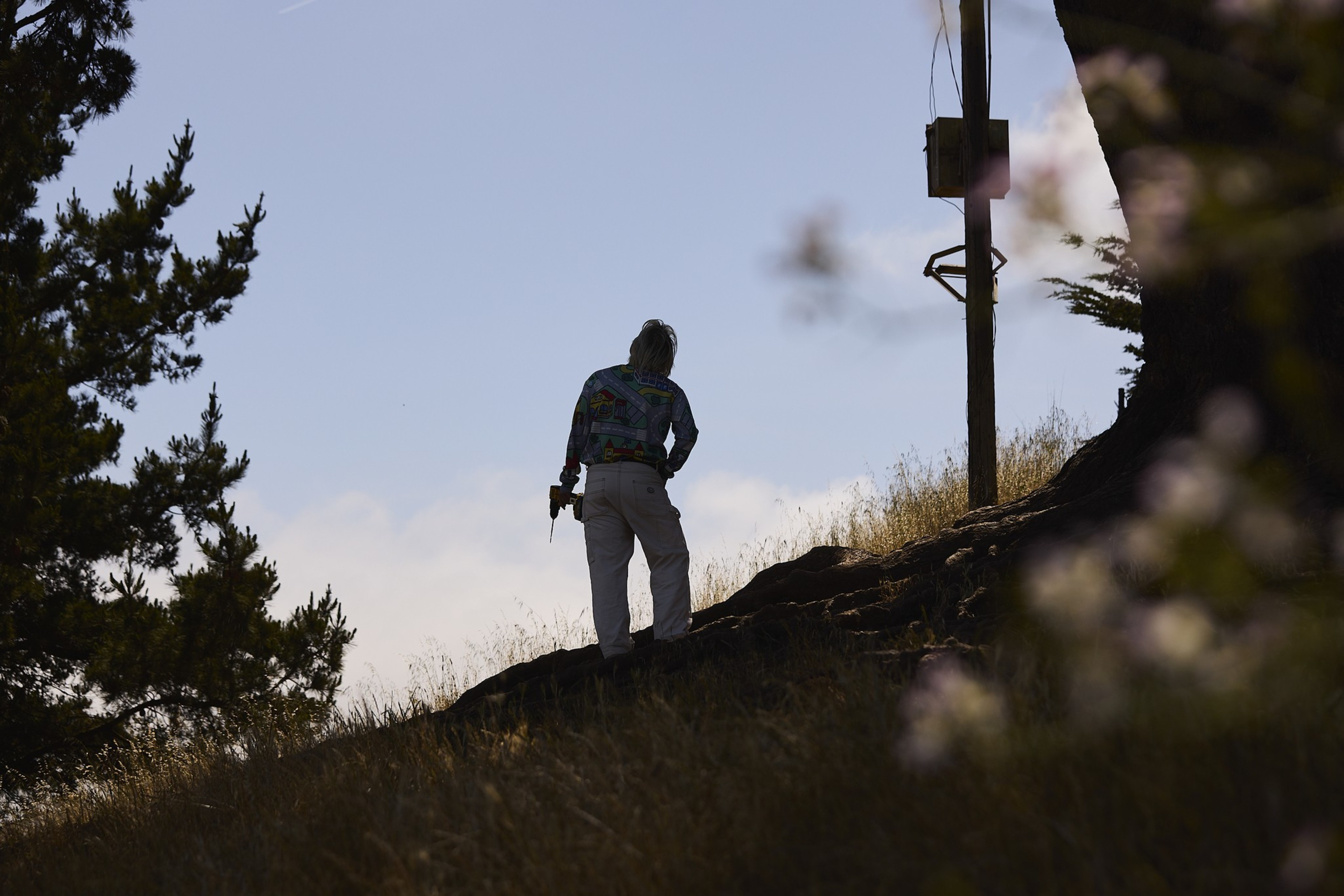 A person stands on a grassy hill holding a tool, silhouetted against the sky. Trees frame the scene, with a utility pole nearby.