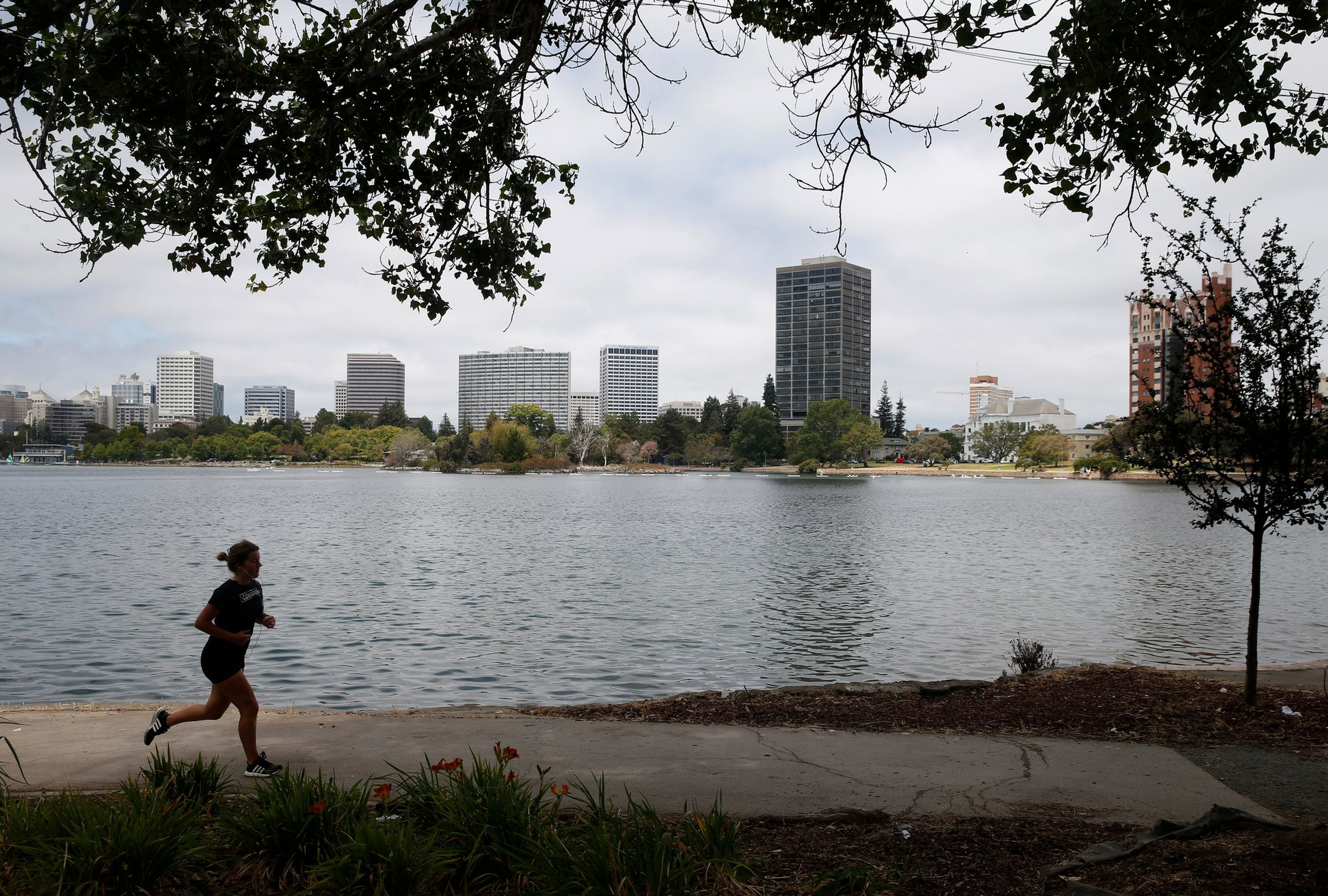 A person is jogging on a path by a lake with city buildings visible across the water under a cloudy sky, framed by tree branches.