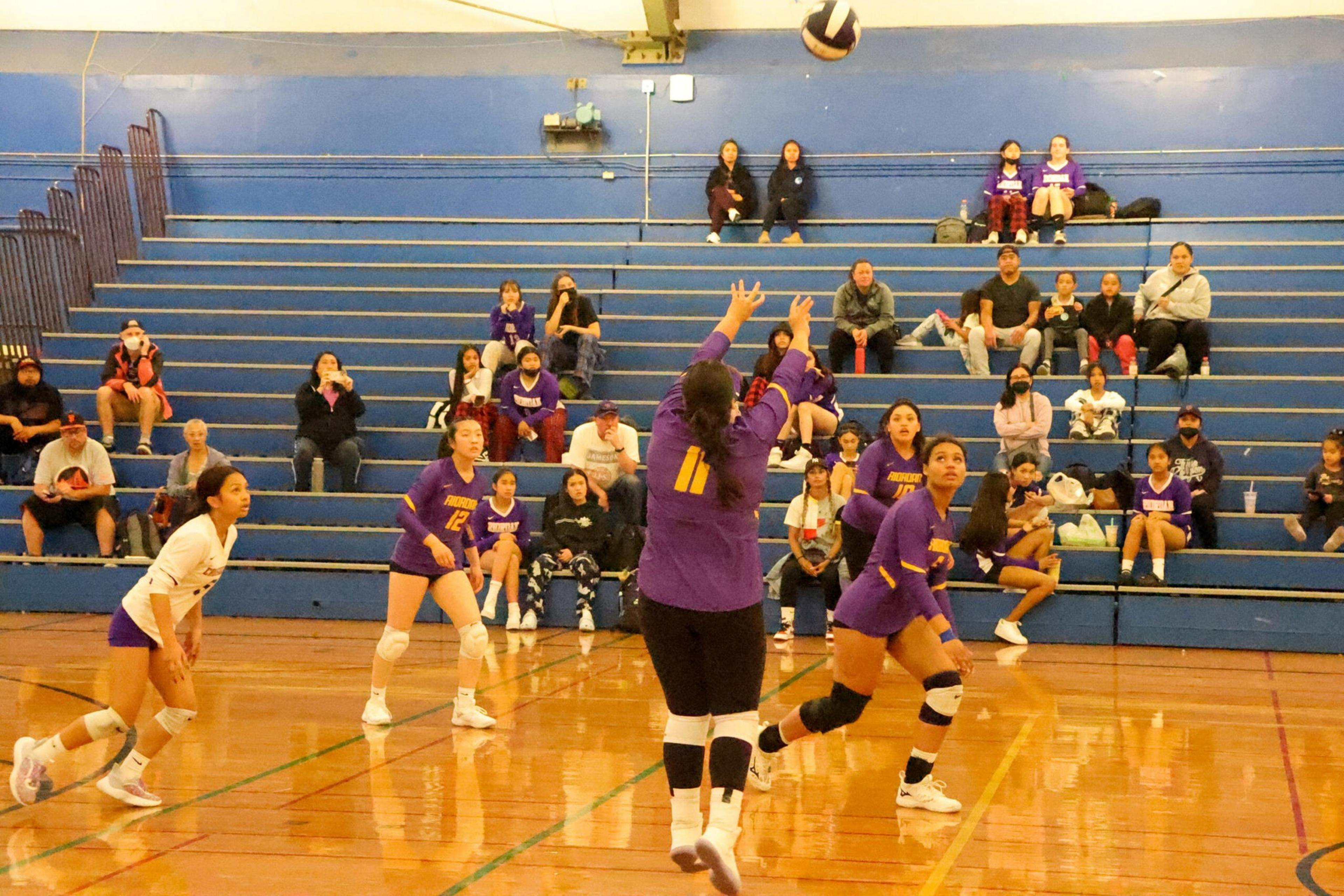 Volleyball players in purple and white uniforms focus on the ball mid-air, preparing to hit it, while spectators watch from blue bleachers.