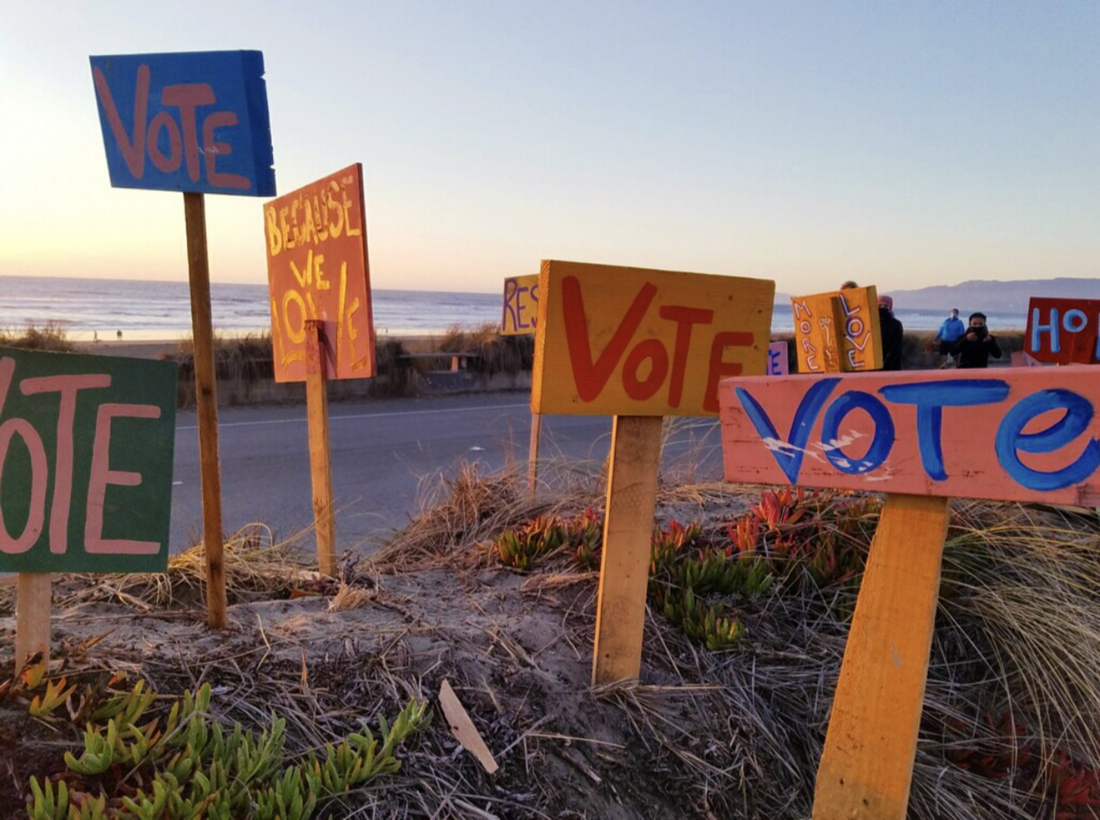 Colorful handmade signs with the word "VOTE" and other messages stand in sand near a roadside, overlooking a calm ocean at sunset.