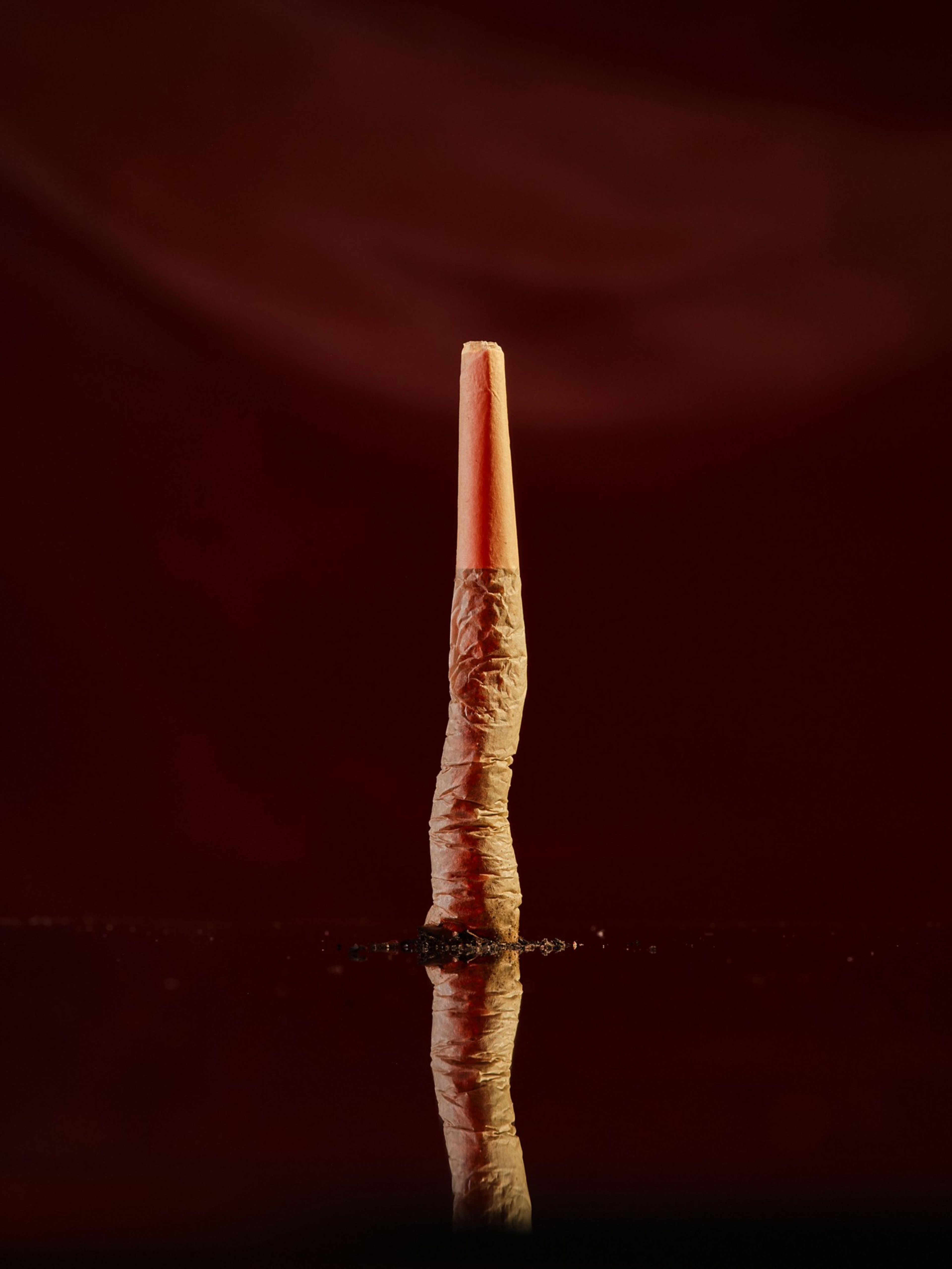 A single, tall, upright joint stands against a dark, reflective background, creating a symmetrical reflection below.