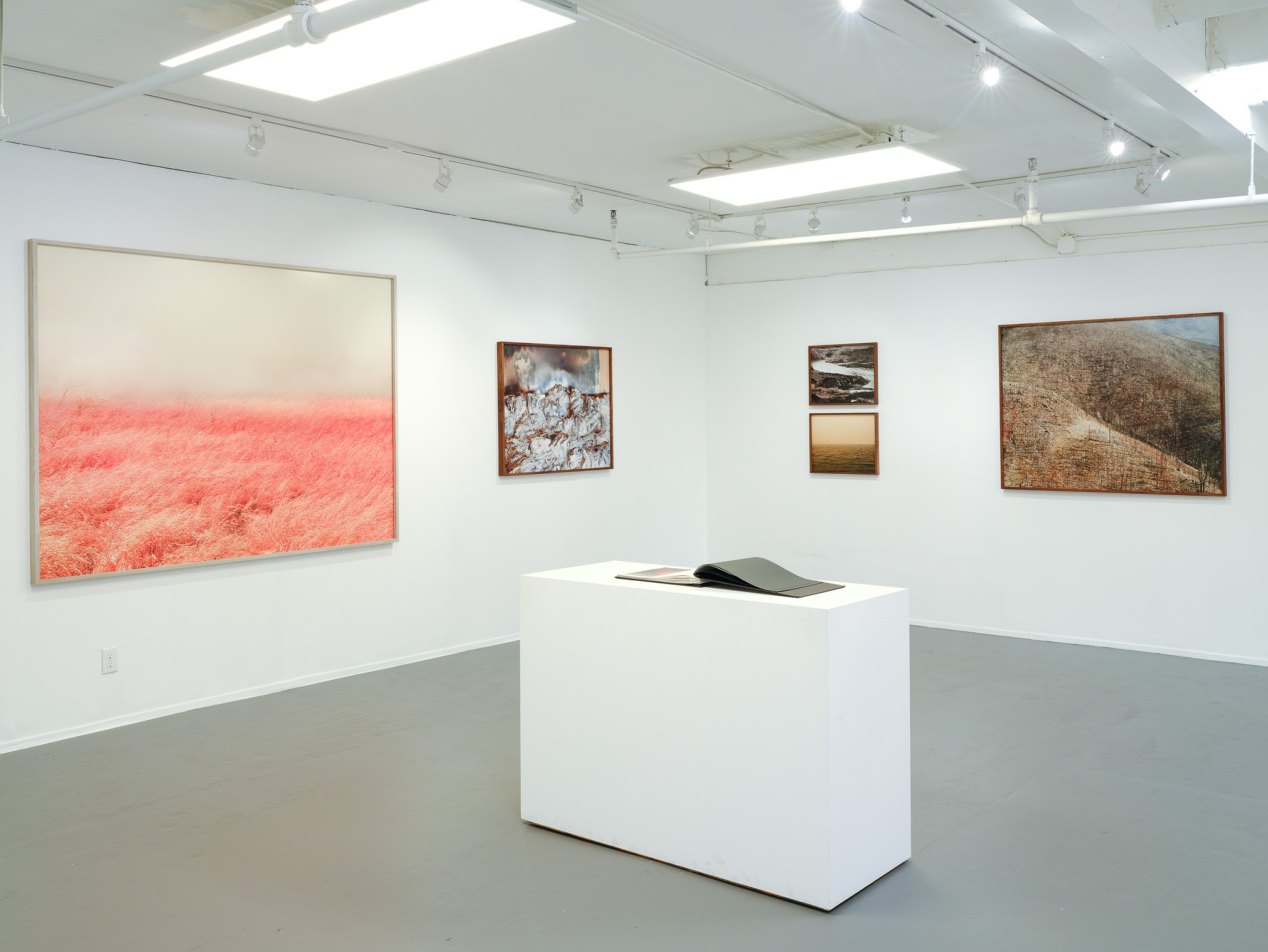 A minimalist gallery room displays five landscape photographs on white walls and an open book on a white pedestal in the center.