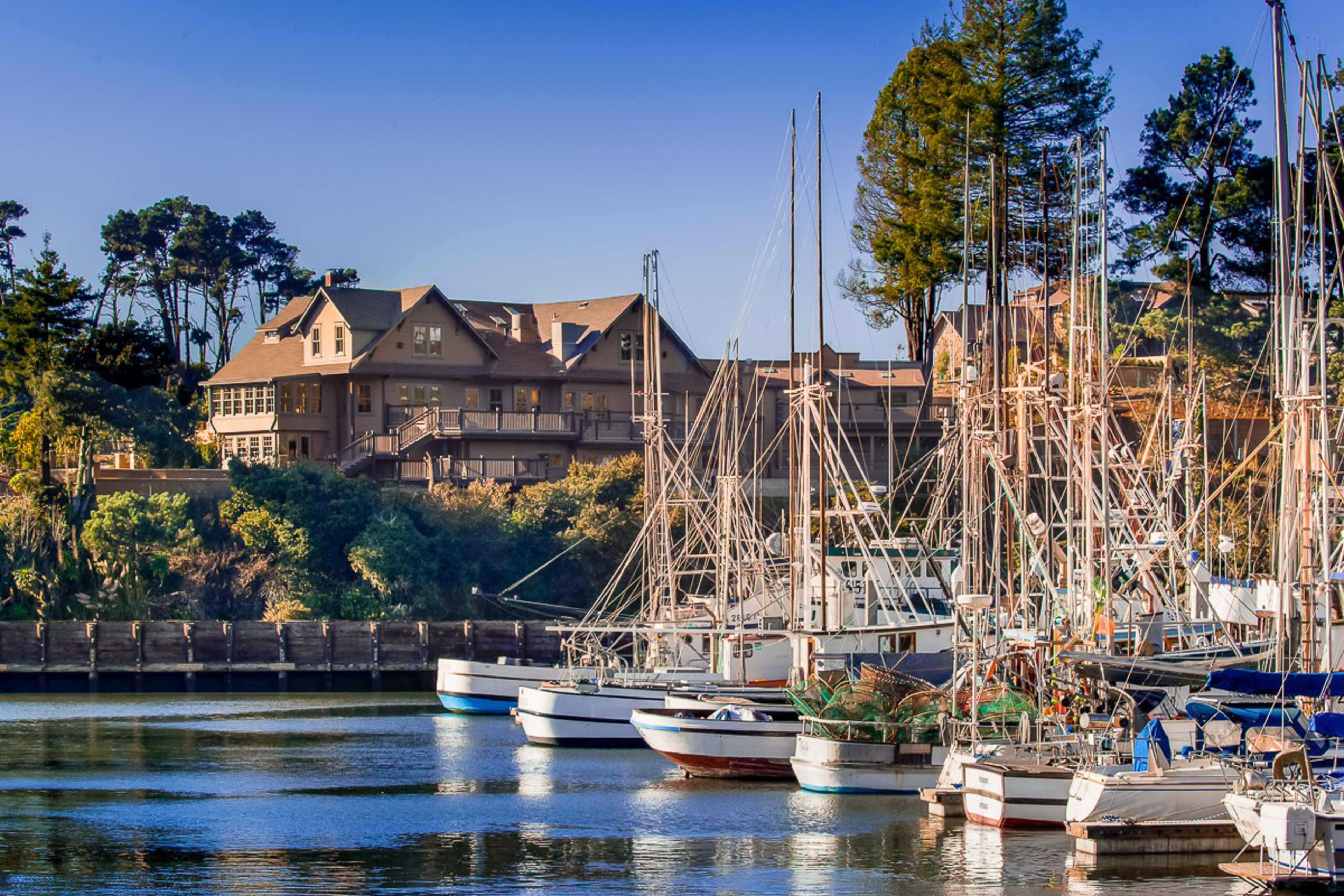 Several sailboats are docked in calm water near a wooden pier, with a large house and tall trees visible in the background under a clear blue sky.