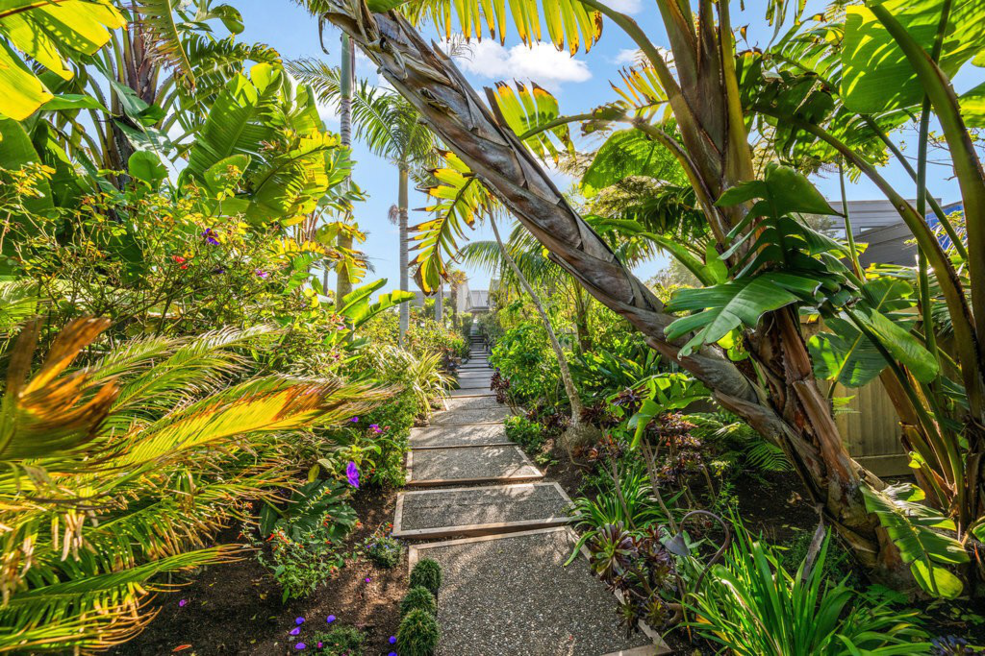 A narrow stone path winds through a tropical garden with lush green plants, palm trees, and purple flowers under a bright blue sky.