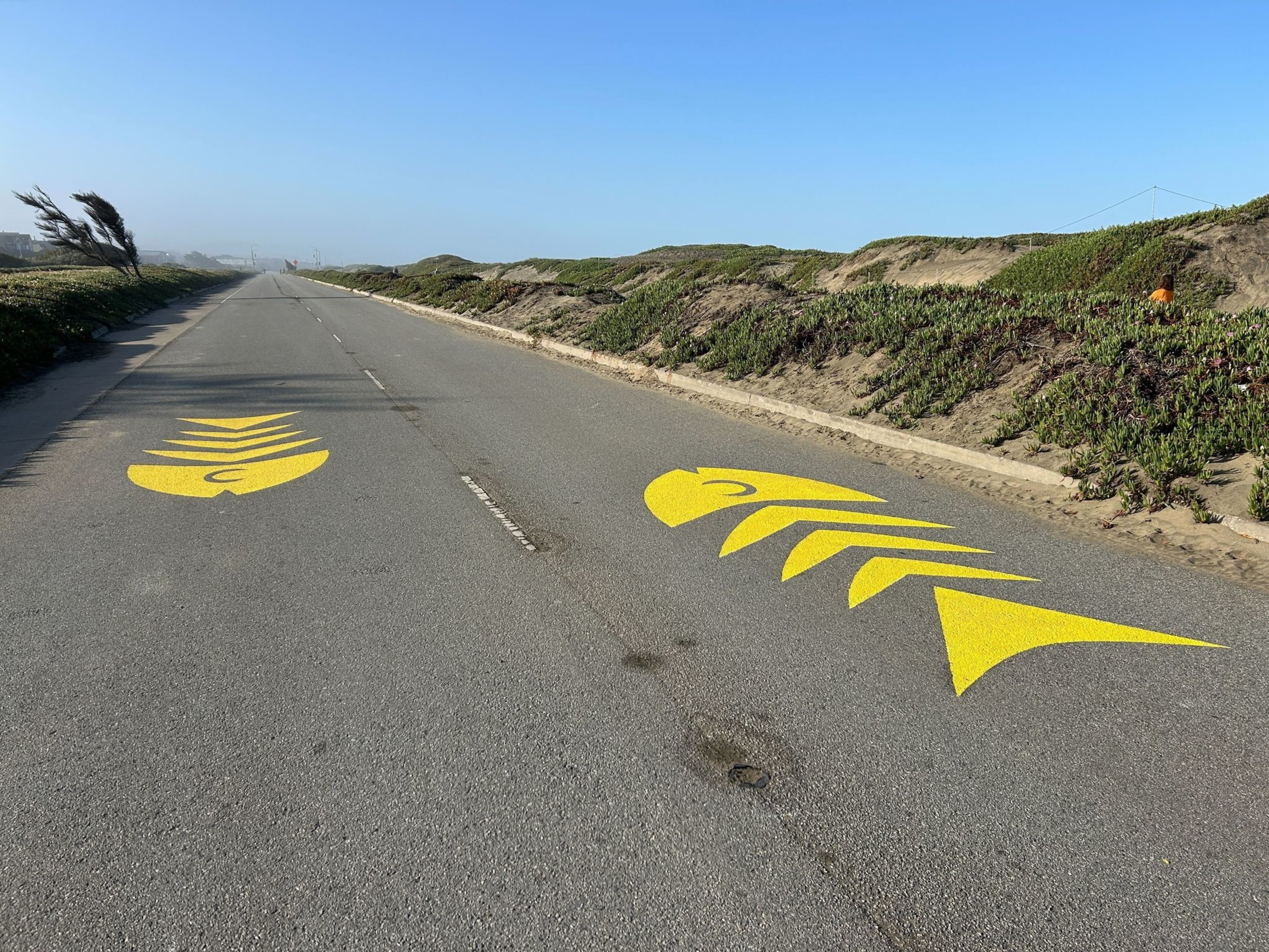 The image shows a road with two yellow fishbone markings painted on the pavement. It's a clear day with low vegetation beside the road.