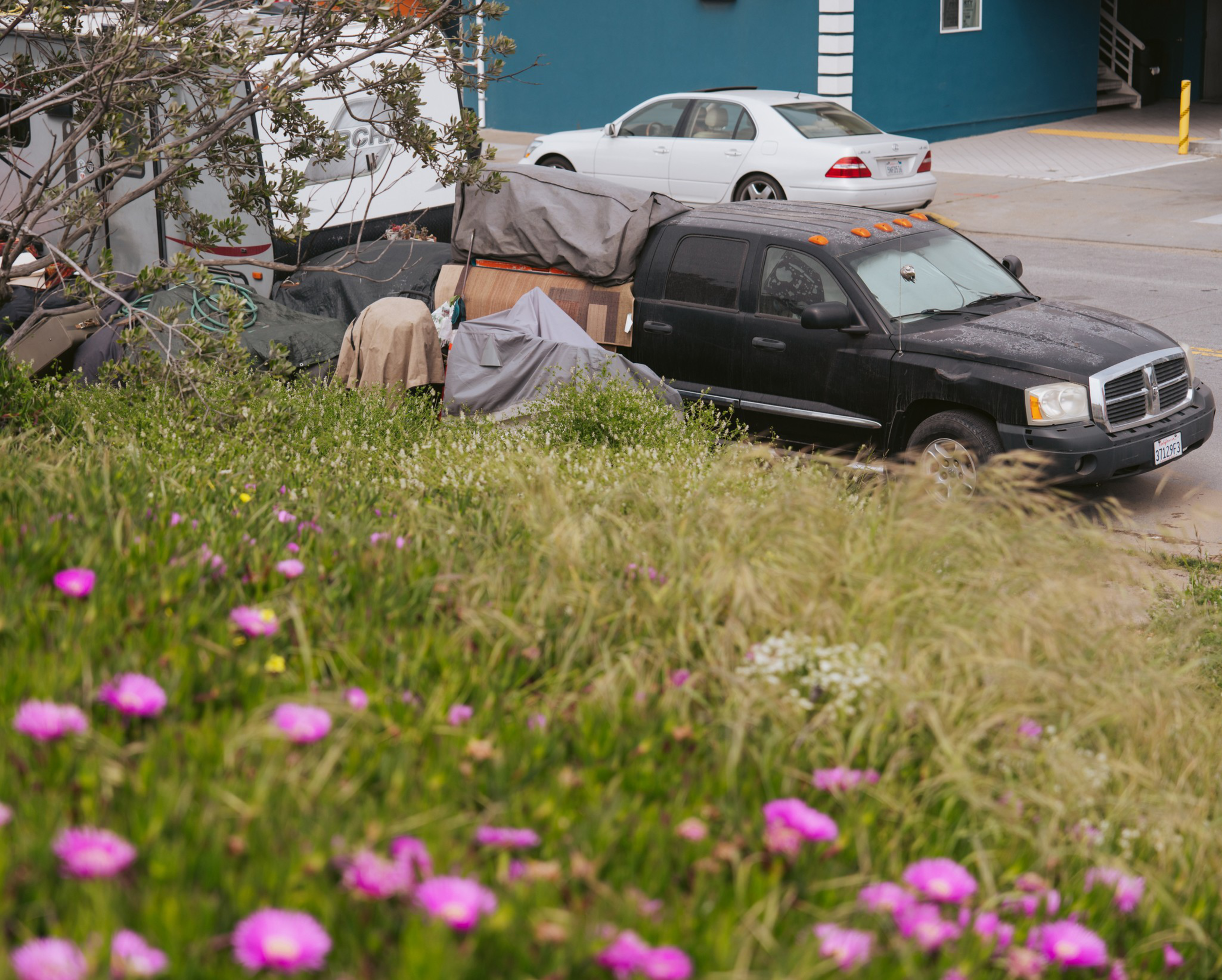 A black pickup truck with items covered by tarps in the bed is parked near a white car beside a blue building, with grass and pink flowers in the foreground.