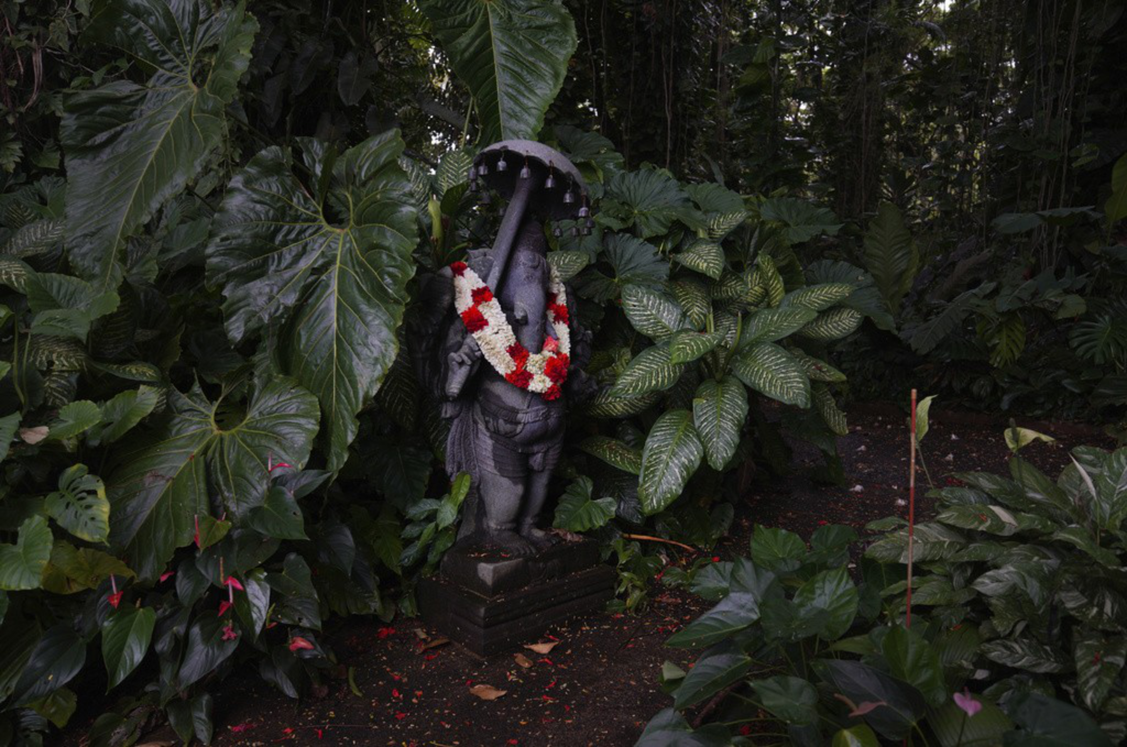A gray statue of an elephant god stands in a lush forest.