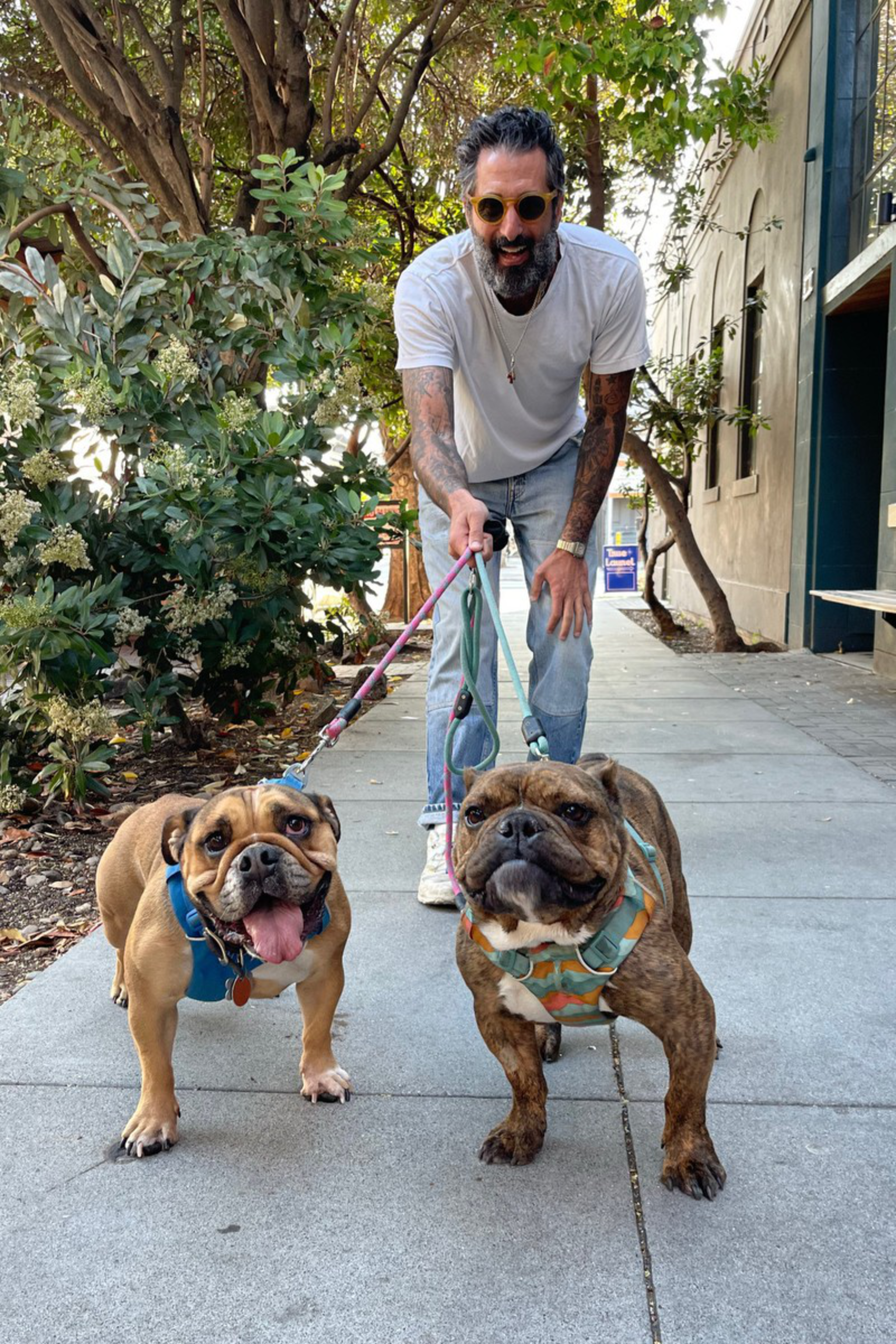 A man with tattoos, sunglasses, and a beard holds leashes for two bulldogs on a sidewalk, surrounded by trees and buildings.