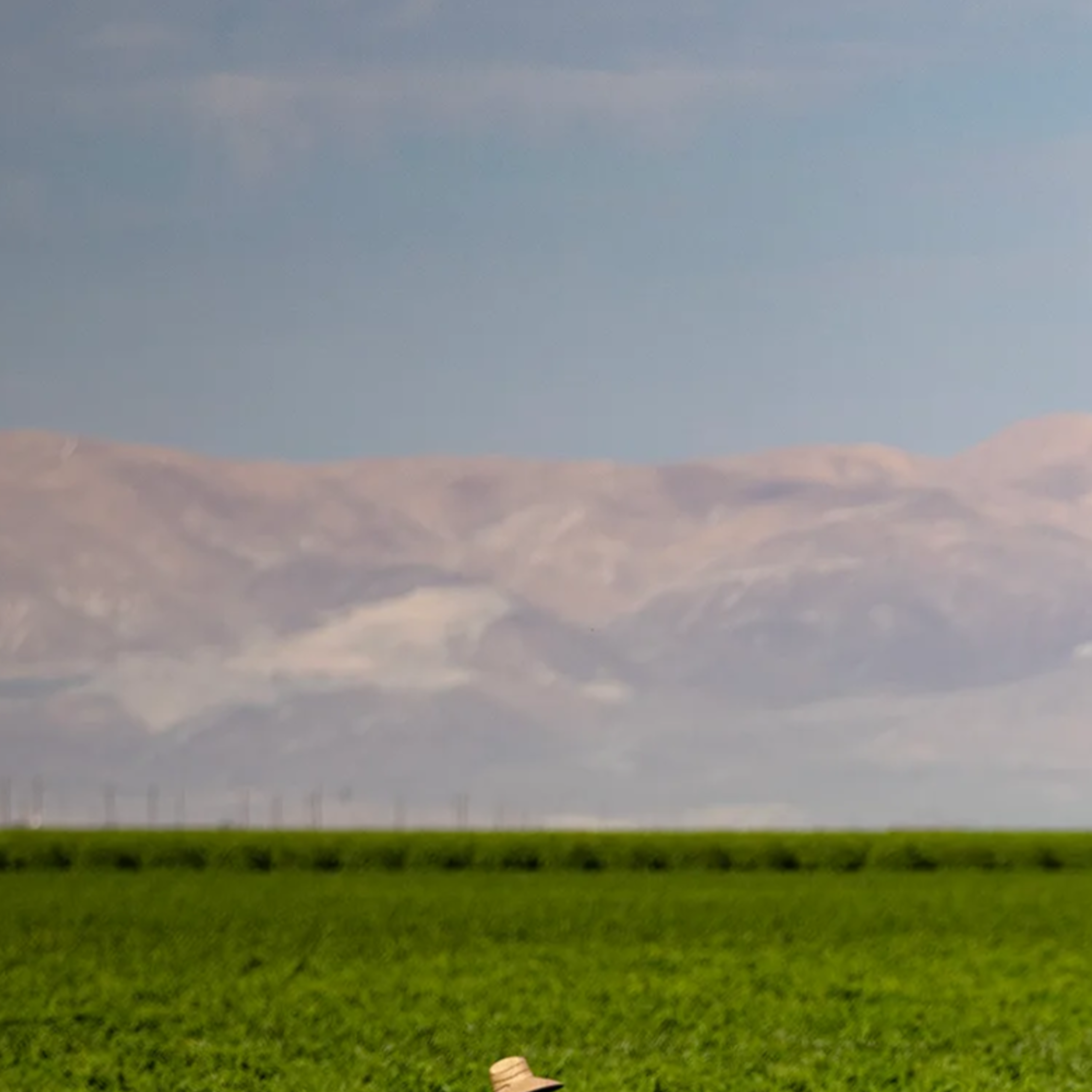 People are working in a vast green field, wearing hats under a clear sky. Mountains are visible in the distance, creating a scenic backdrop.