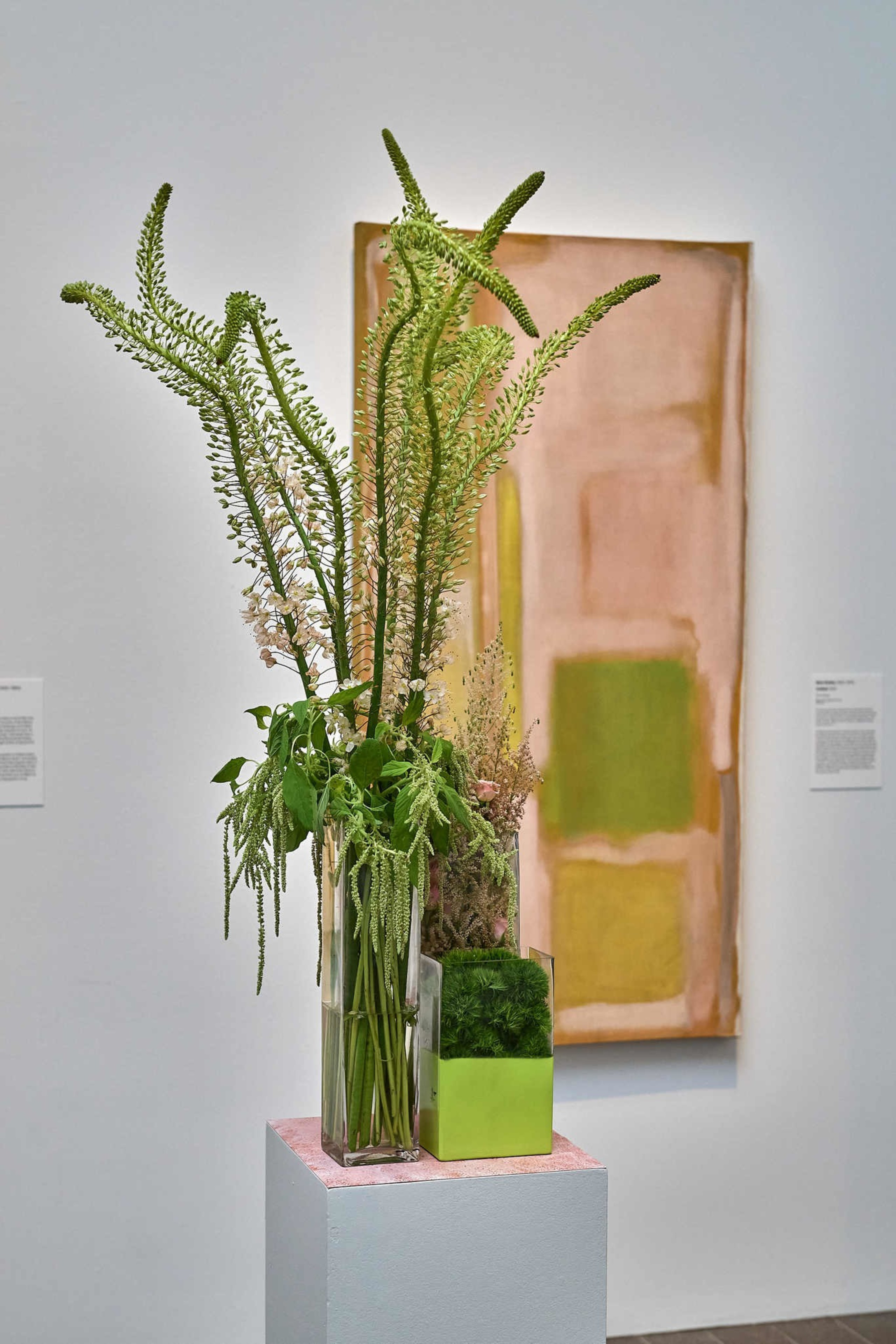 A glass vase filled with tall, green plants sits on a pedestal. Behind it, there's an abstract painting with muted pink and green colors on a white wall.