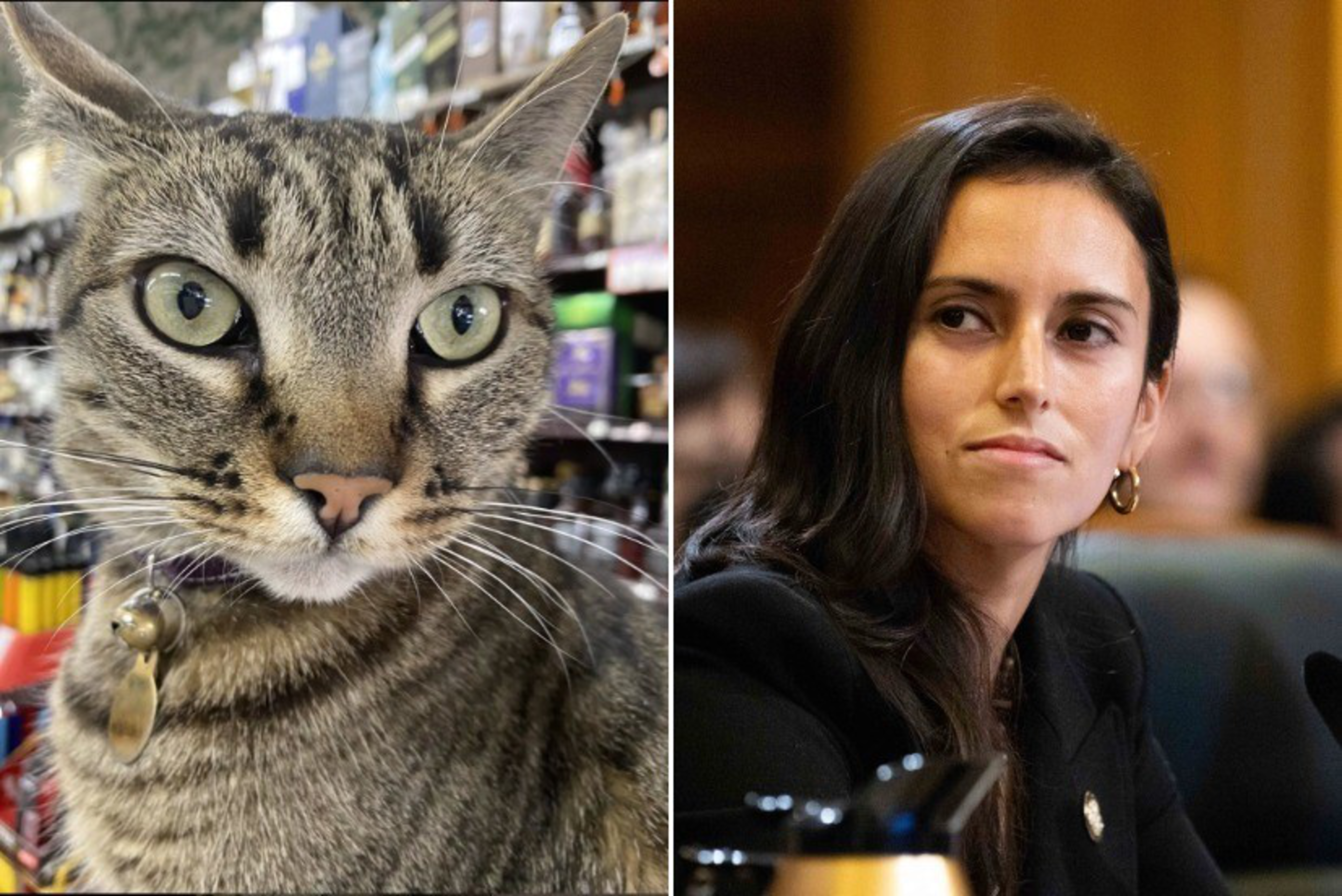 A close-up of a tabby cat with green eyes and a bell collar, next to a woman with long dark hair wearing a black jacket, looking to the side.