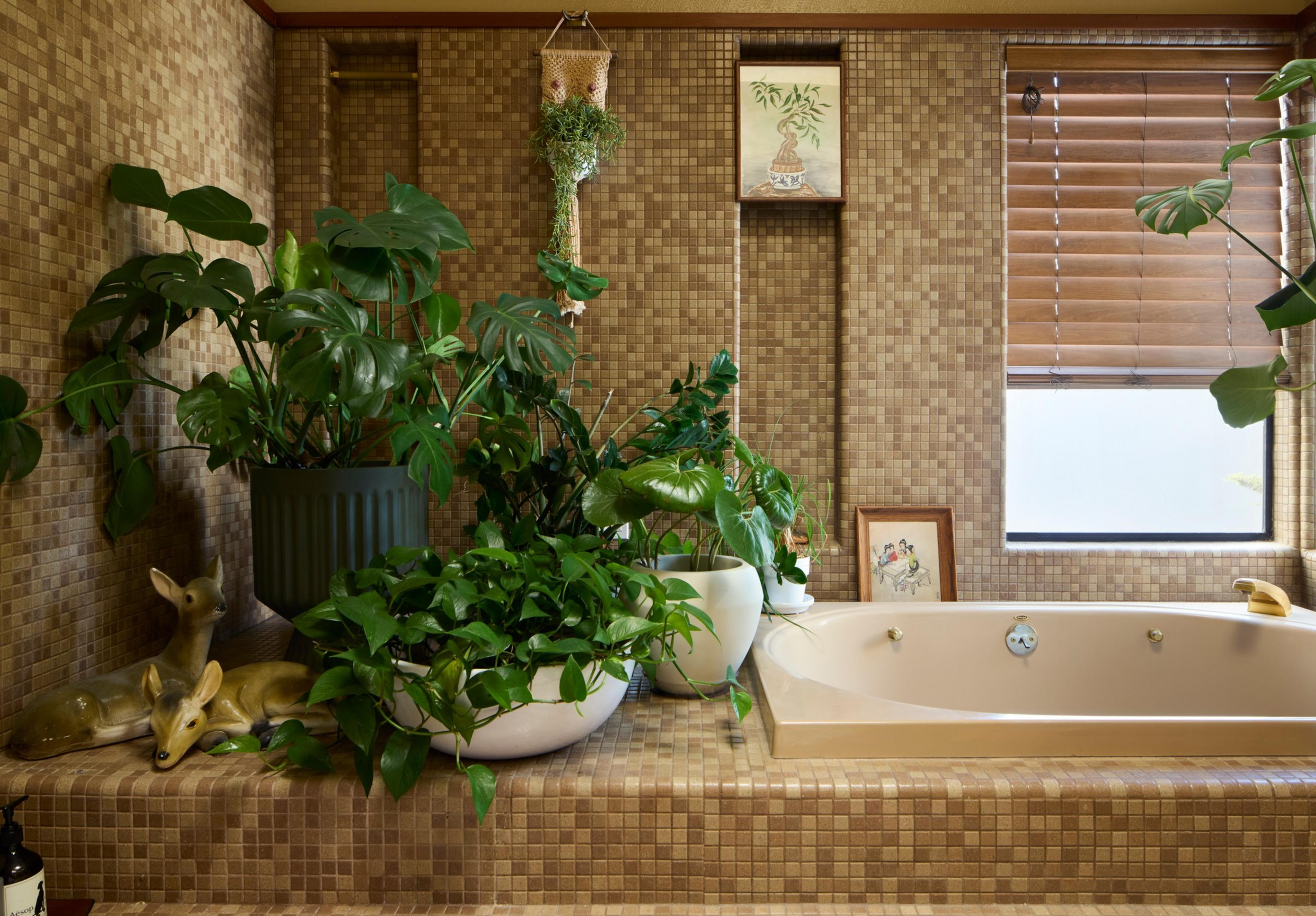 A bathtub surrounded by beige mosaic tiles holds several green potted plants, two deer figurines, and framed botanical artwork with a window nearby.