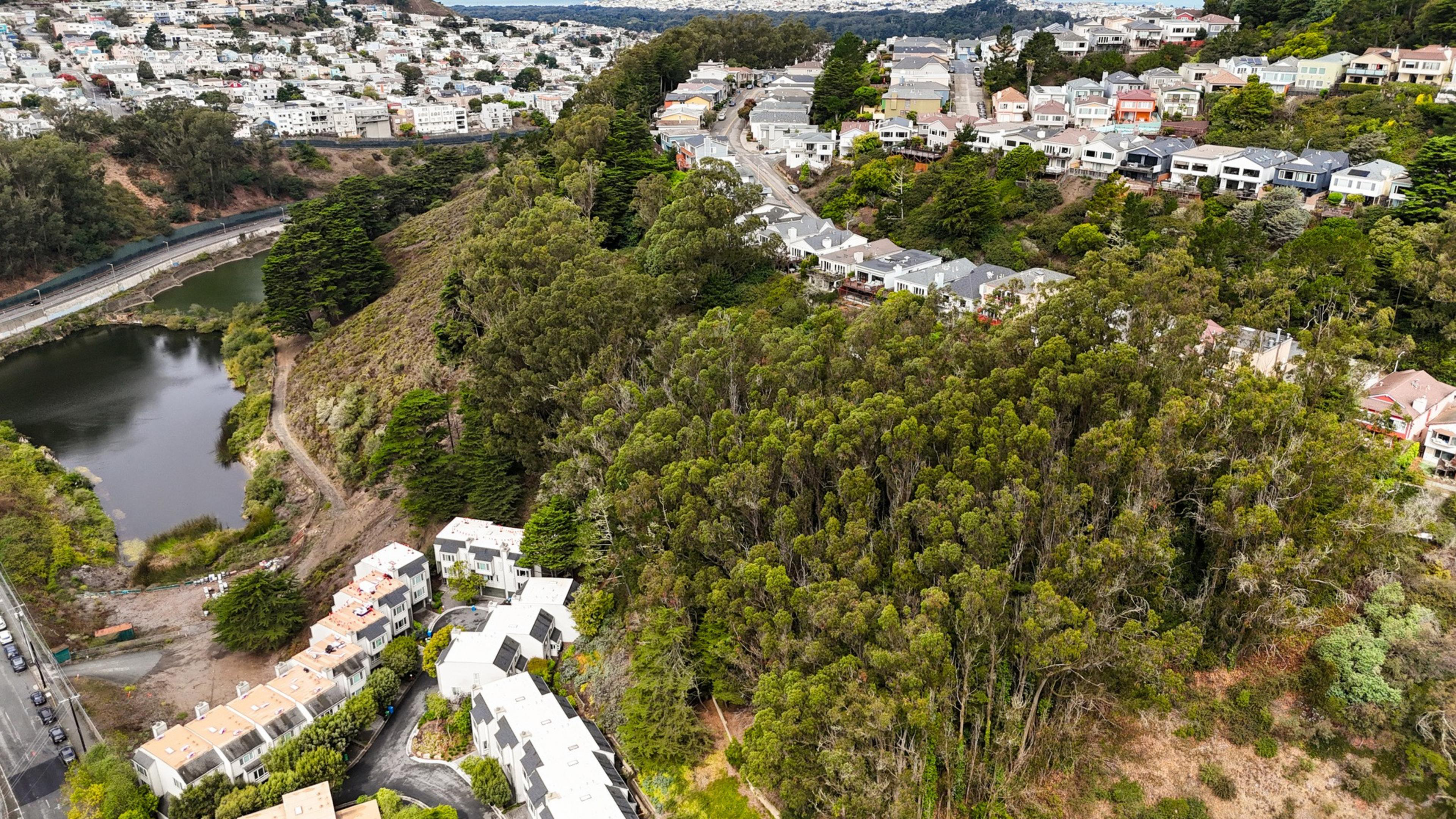 A dense forested area separates suburban neighborhoods with houses and roads, alongside a small river or canal flowing near the hillside.