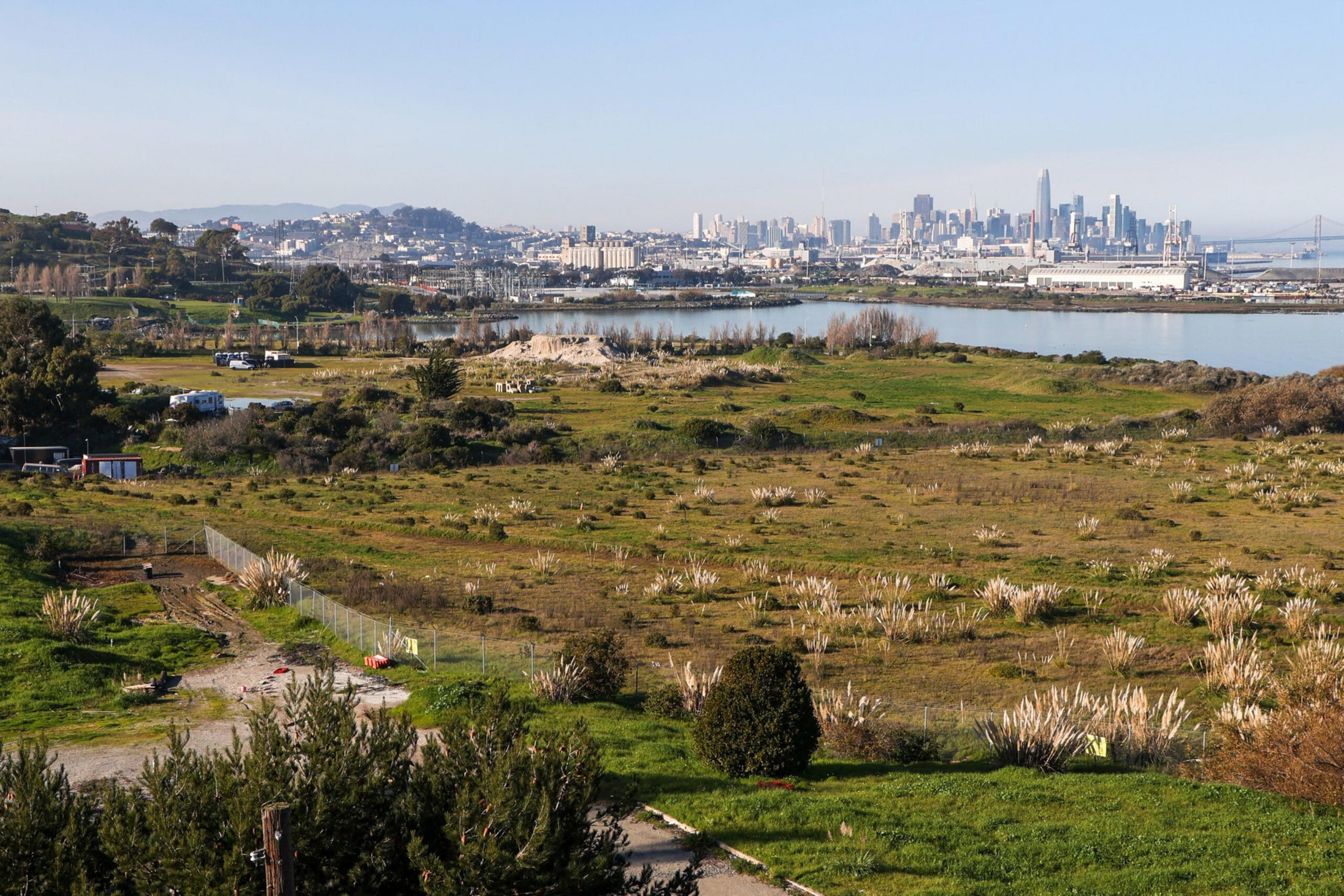 A wide green field with scattered bushes and white flowers stretches towards a body of water, beyond which a city skyline with tall buildings is visible.
