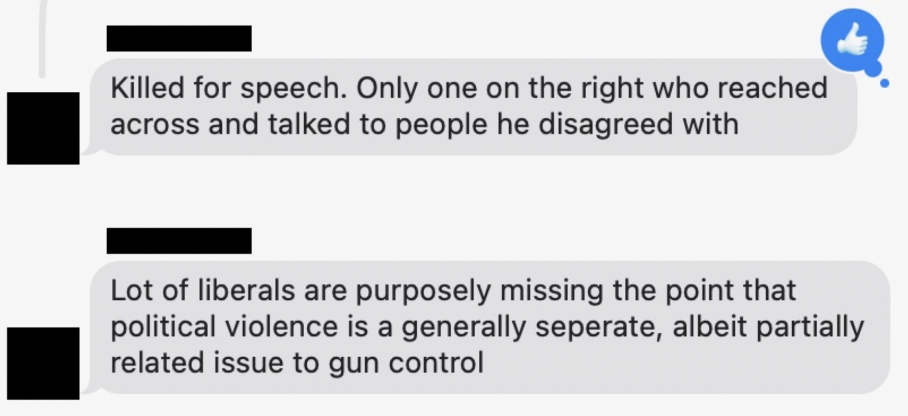 One message states someone was killed for speech and praised for reaching out across divides. Another claims liberals ignore that political violence is a separate issue from gun control.