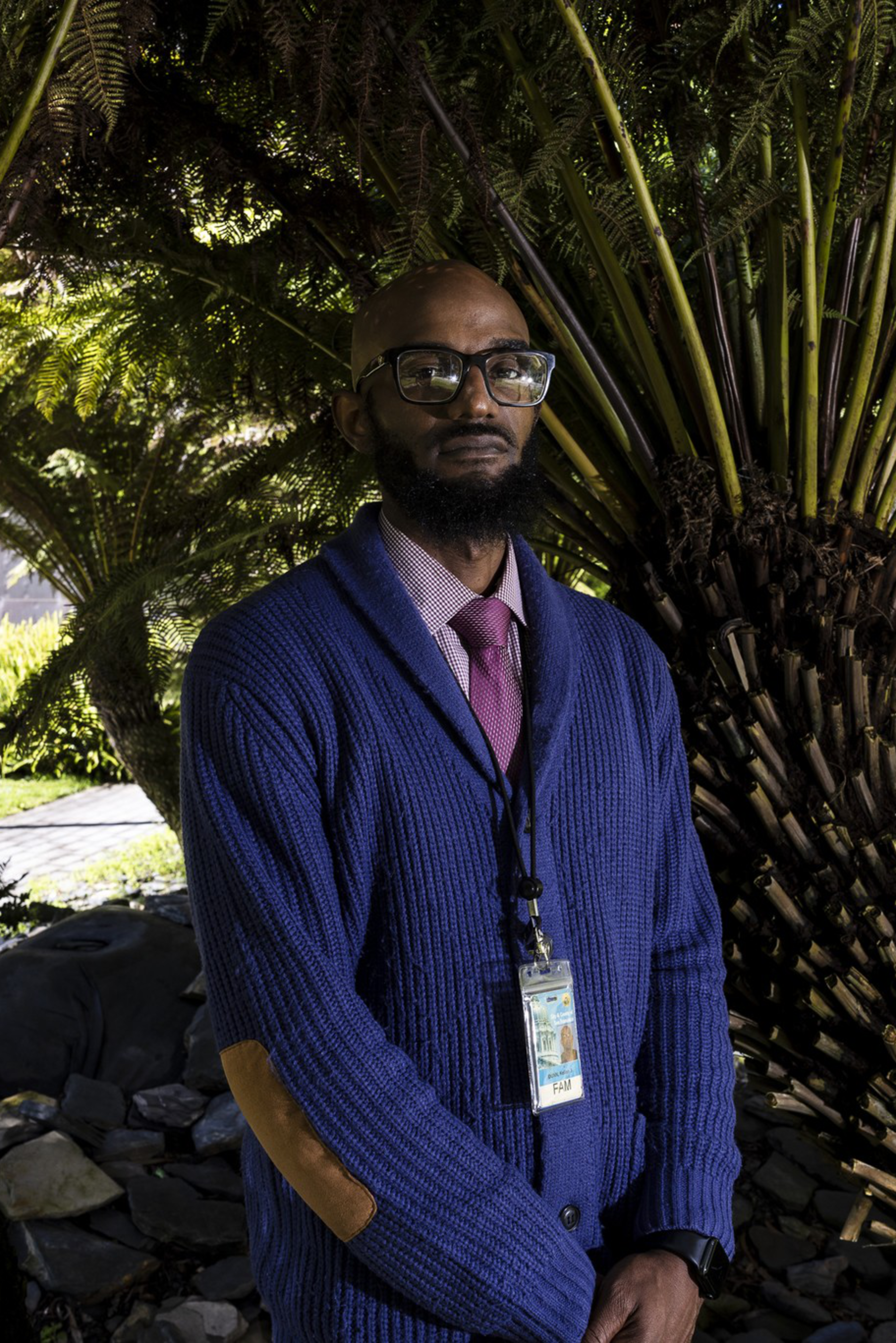 A man with glasses, a beard, and a blue knit sweater stands in front of large, dense tree ferns with sunlight filtering through the leaves.