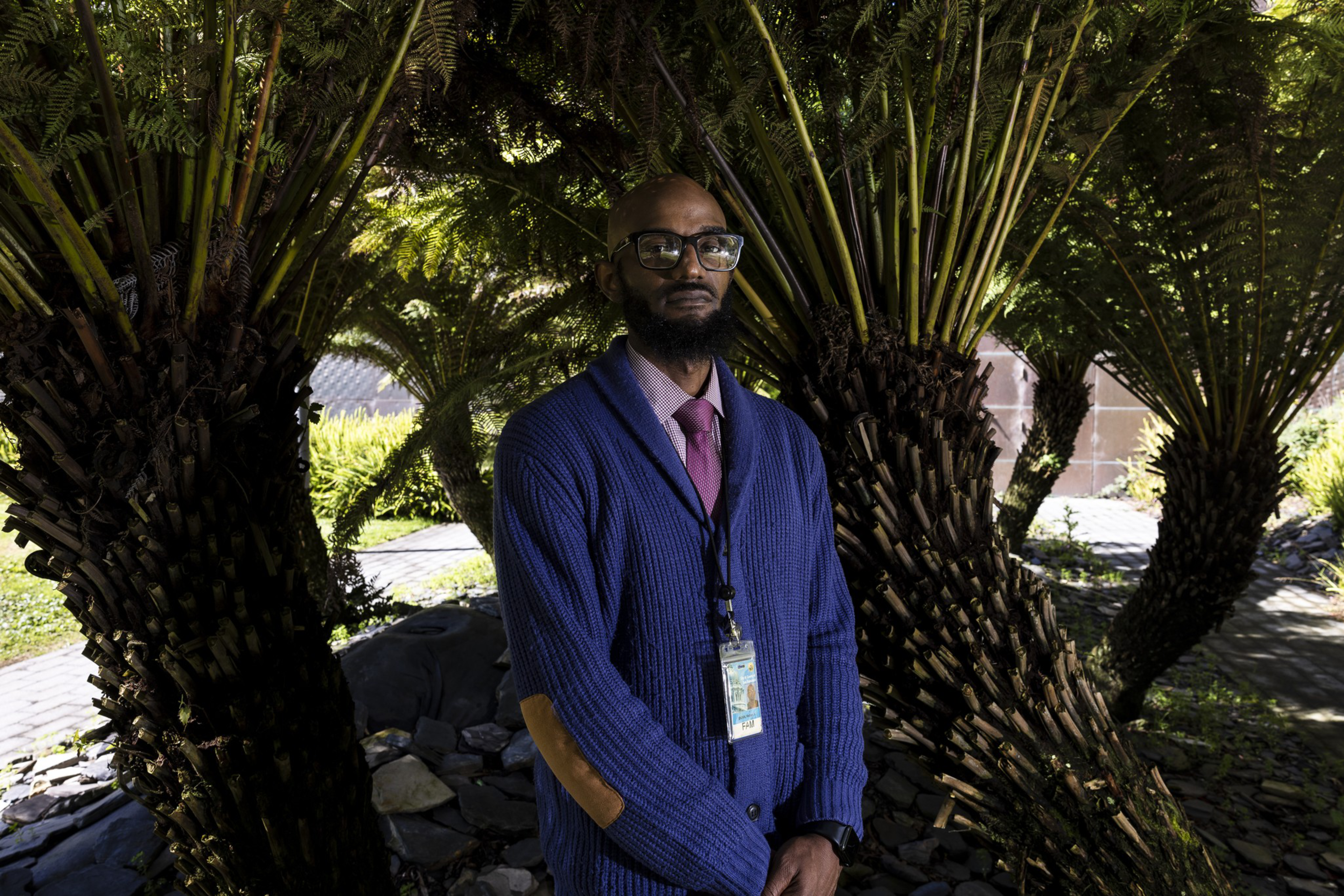 A man with glasses, a beard, and a blue knit sweater stands in front of large, dense tree ferns with sunlight filtering through the leaves.