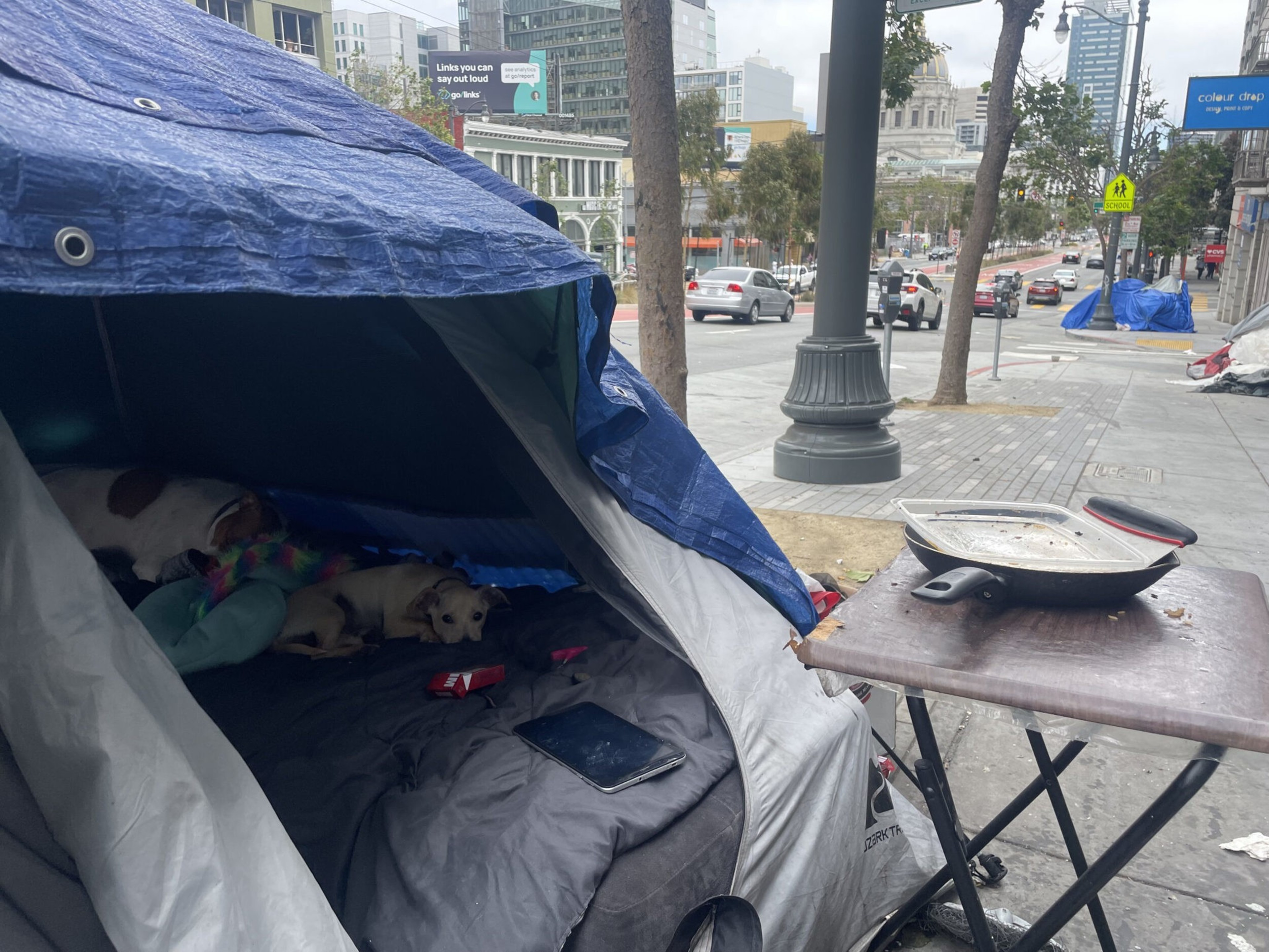 A small tent on a city sidewalk contains two small dogs resting on a blanket, next to a folding table holding a used frying pan and spatula.
