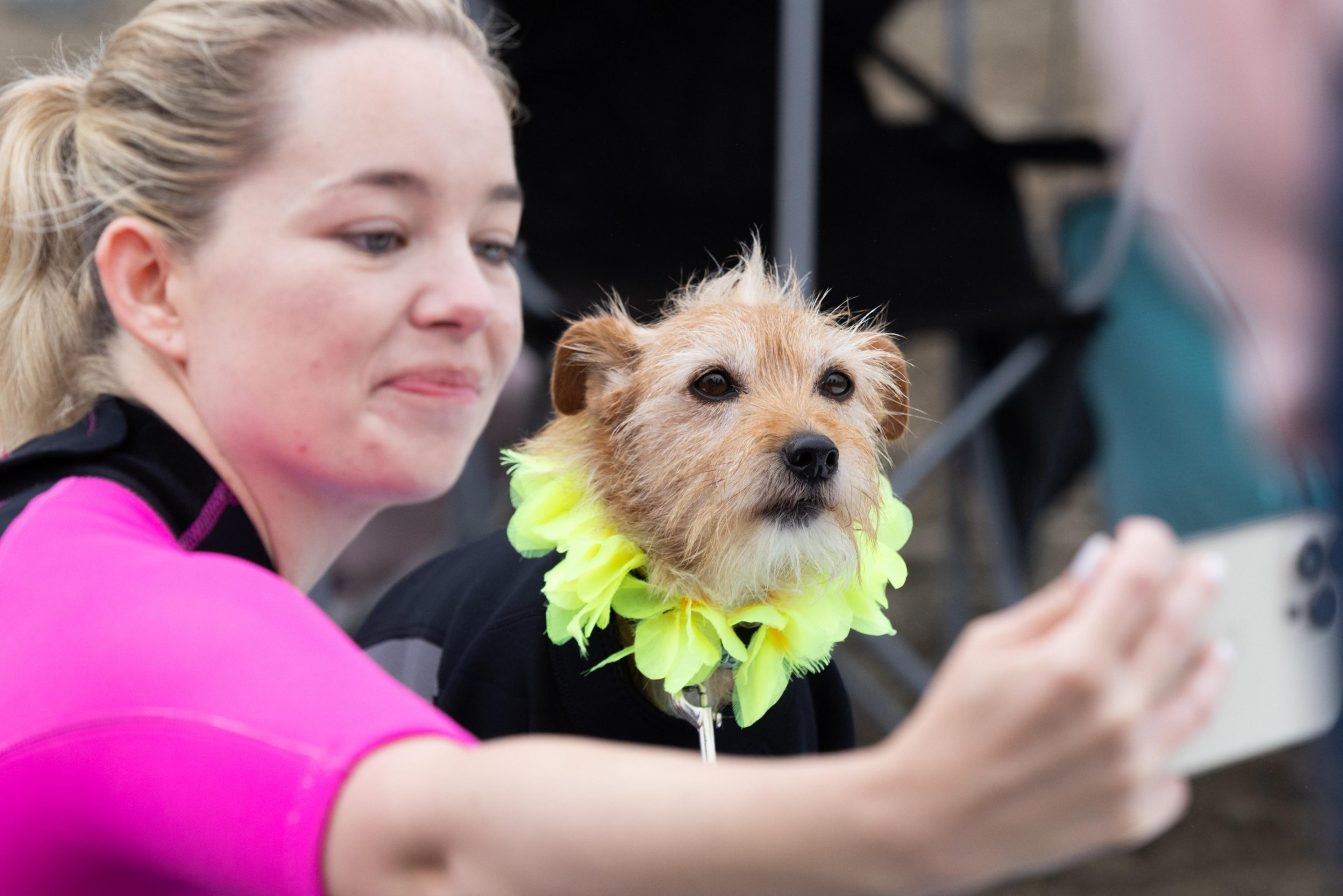 A woman in a pink top takes a selfie with a small, fluffy dog wearing a bright yellow flower collar. They're outdoors, and her phone is in the foreground.