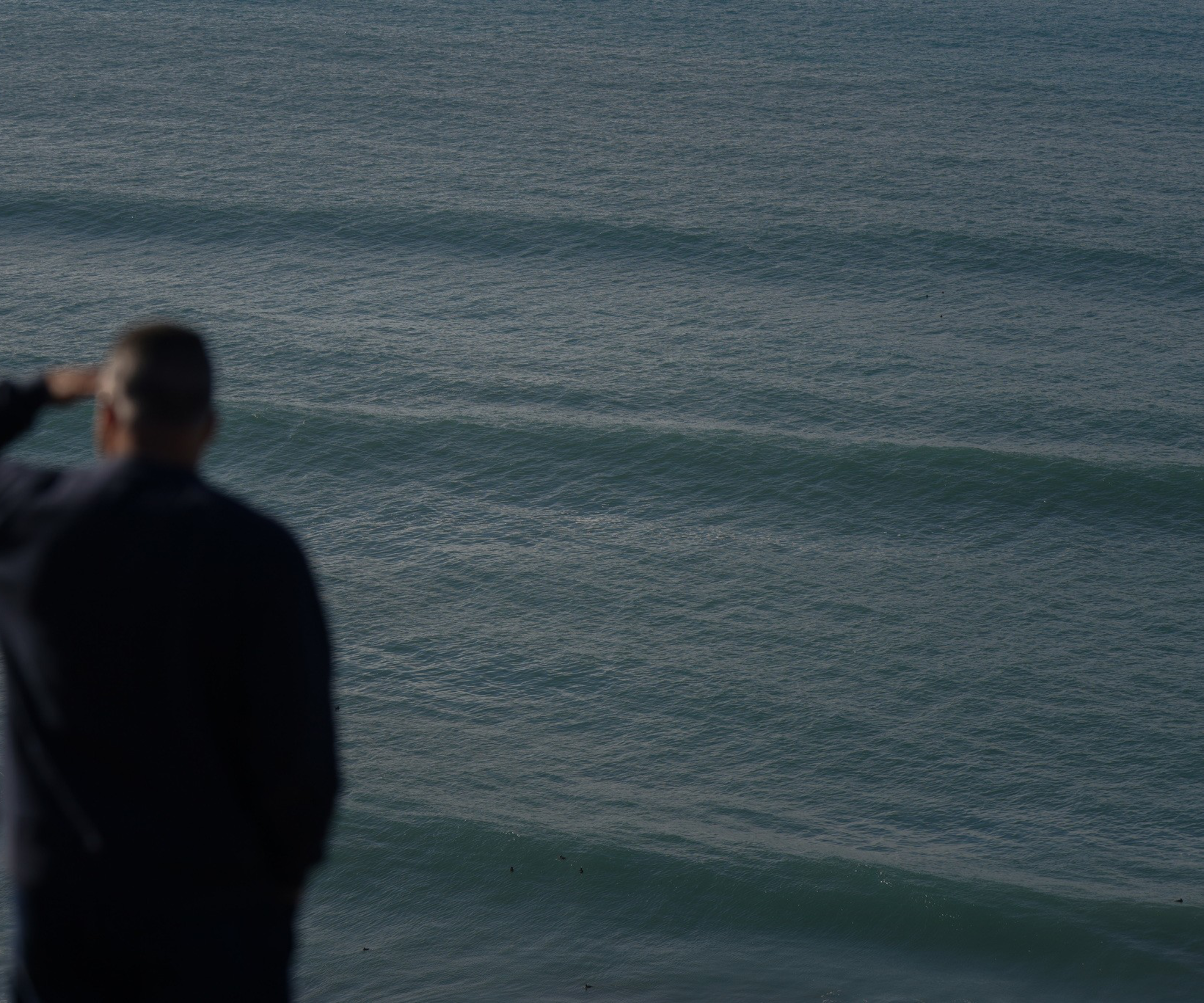 A person stands silhouetted against the ocean, with gentle waves rolling in. They gaze towards the horizon, shielding their eyes with a hand.
