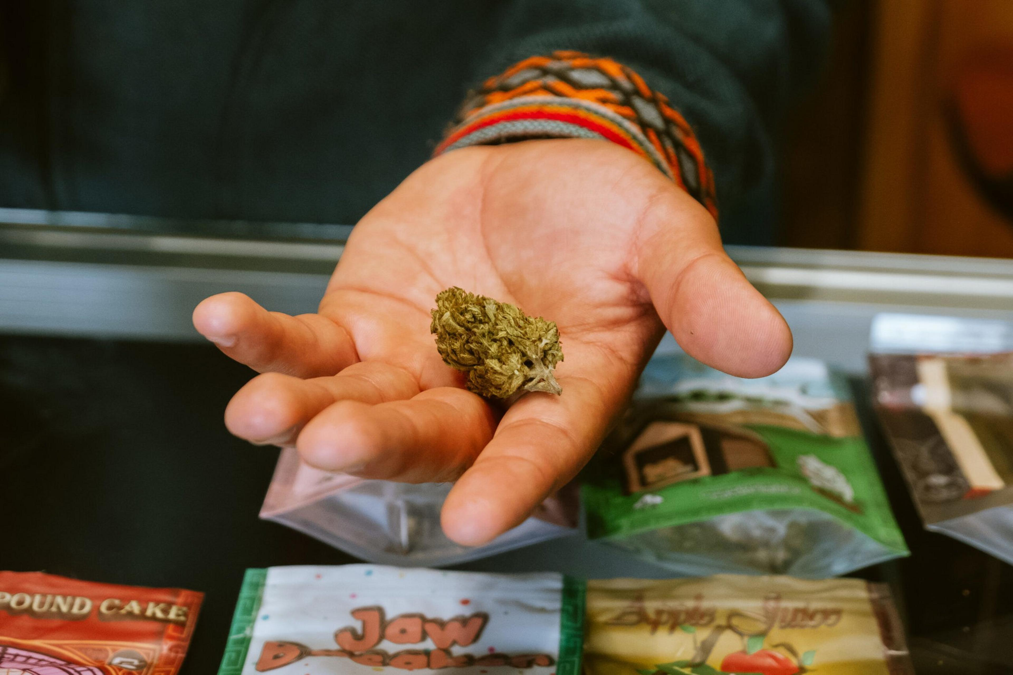 A hand holds a small cannabis bud above a counter displaying various packaged cannabis products labeled with names like "Jaw" and "Pound Cake."