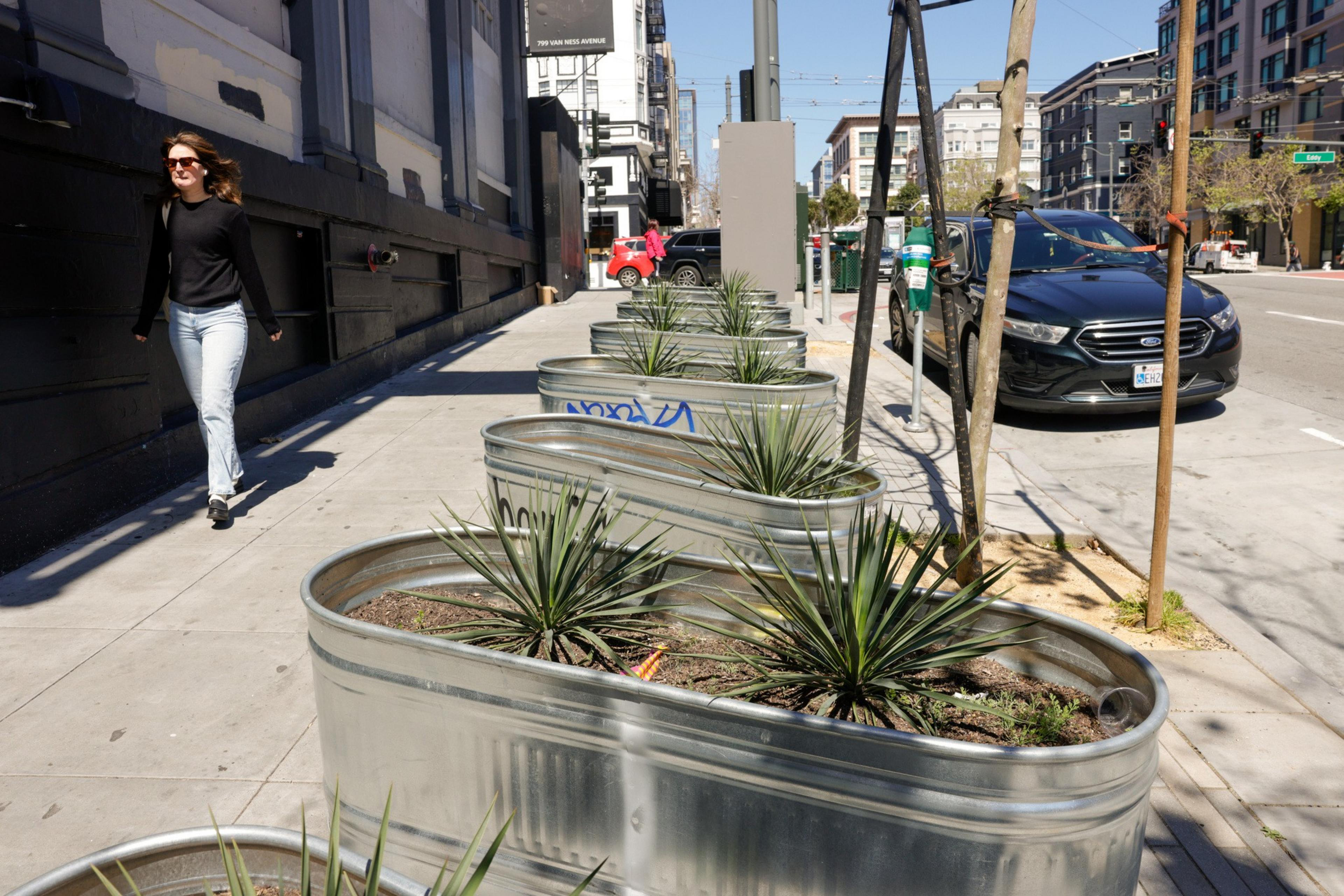 A sunny city sidewalk with large metal planters containing spiky plants; a woman walks by, cars parked in the background.
