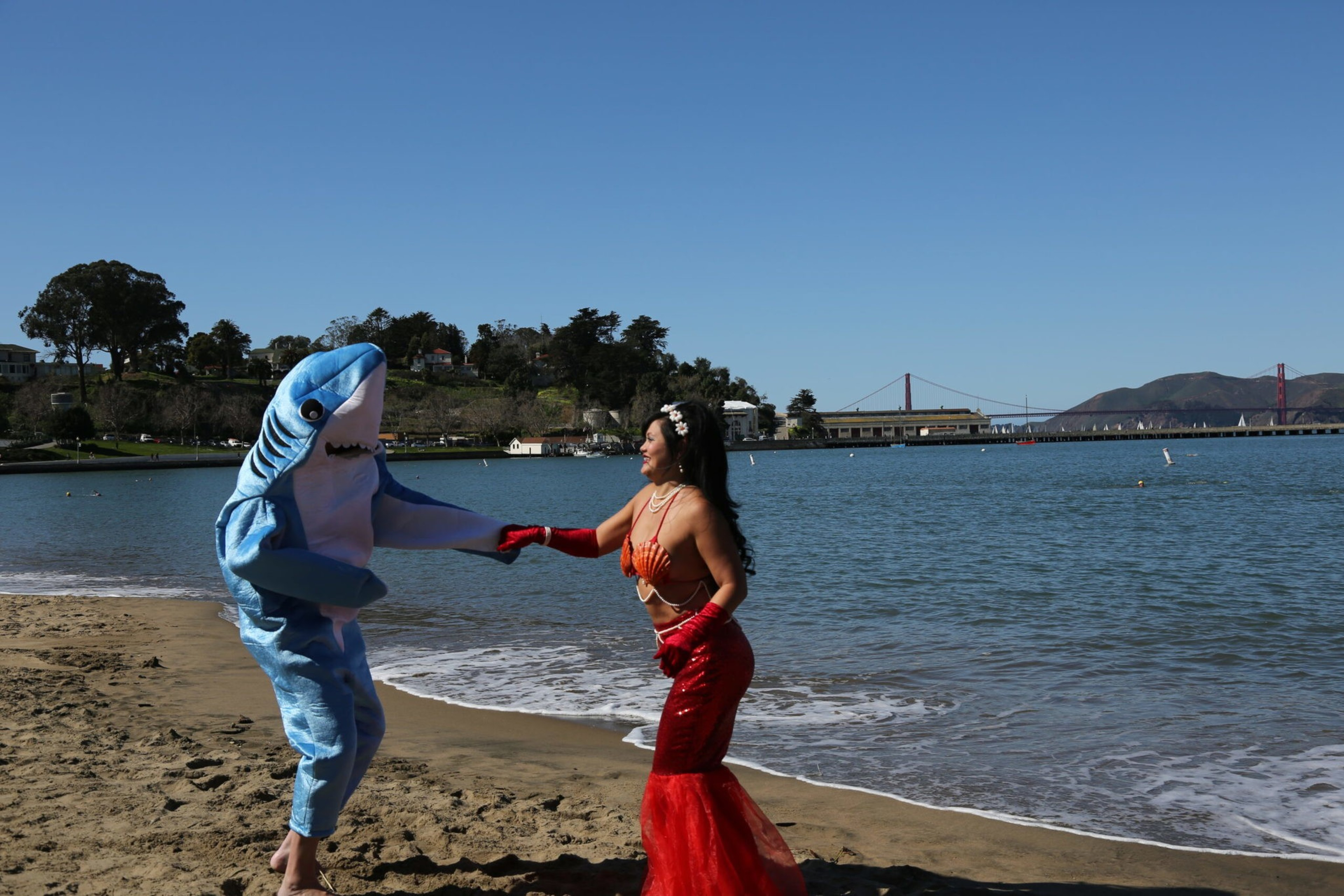A person in a blue shark costume dances on the beach, holding hands with a woman dressed as a mermaid in a red tail and shell top near calm ocean water.
