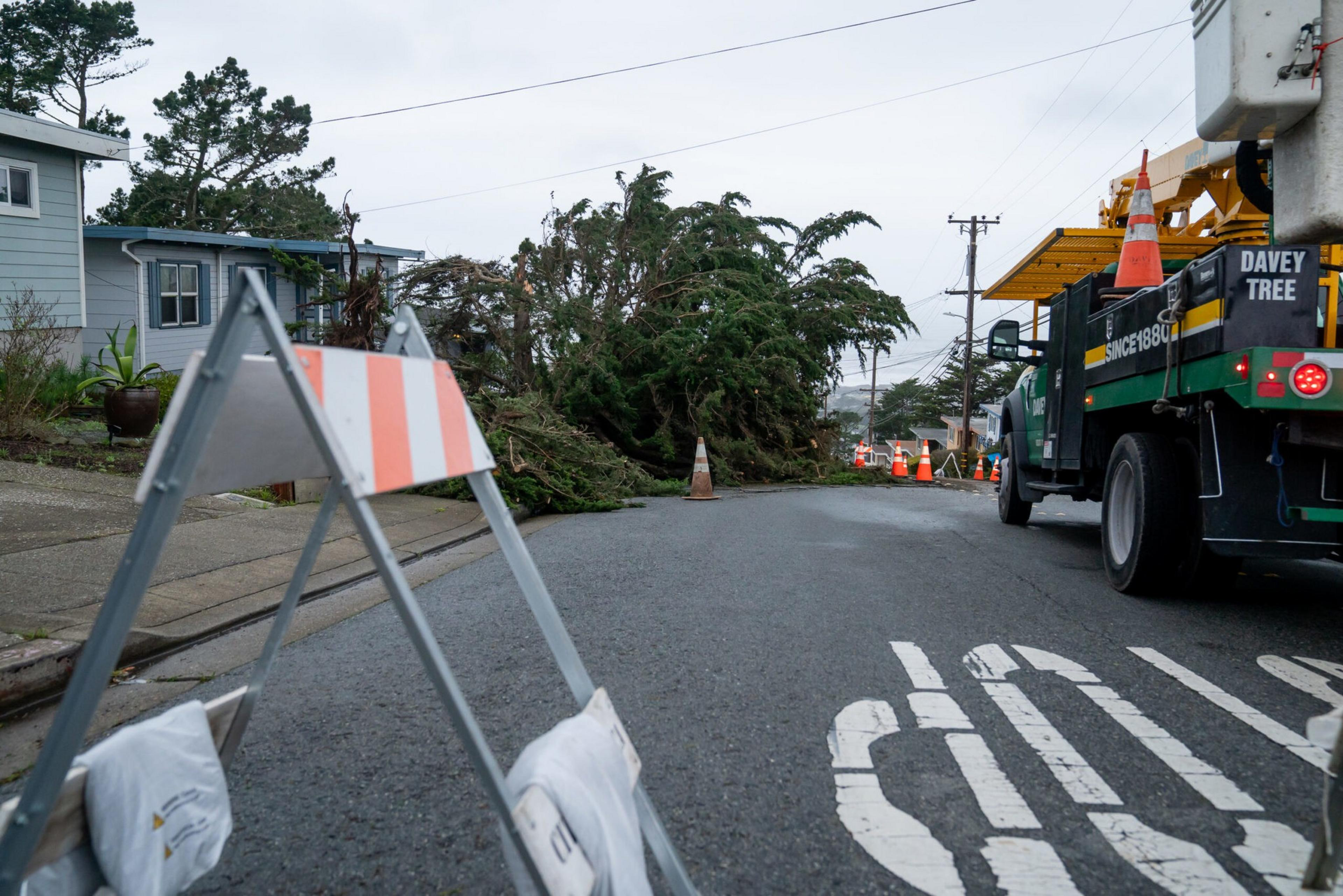 A large fallen tree blocks a residential street, with traffic cones and a utility truck nearby indicating cleanup or repair work underway.