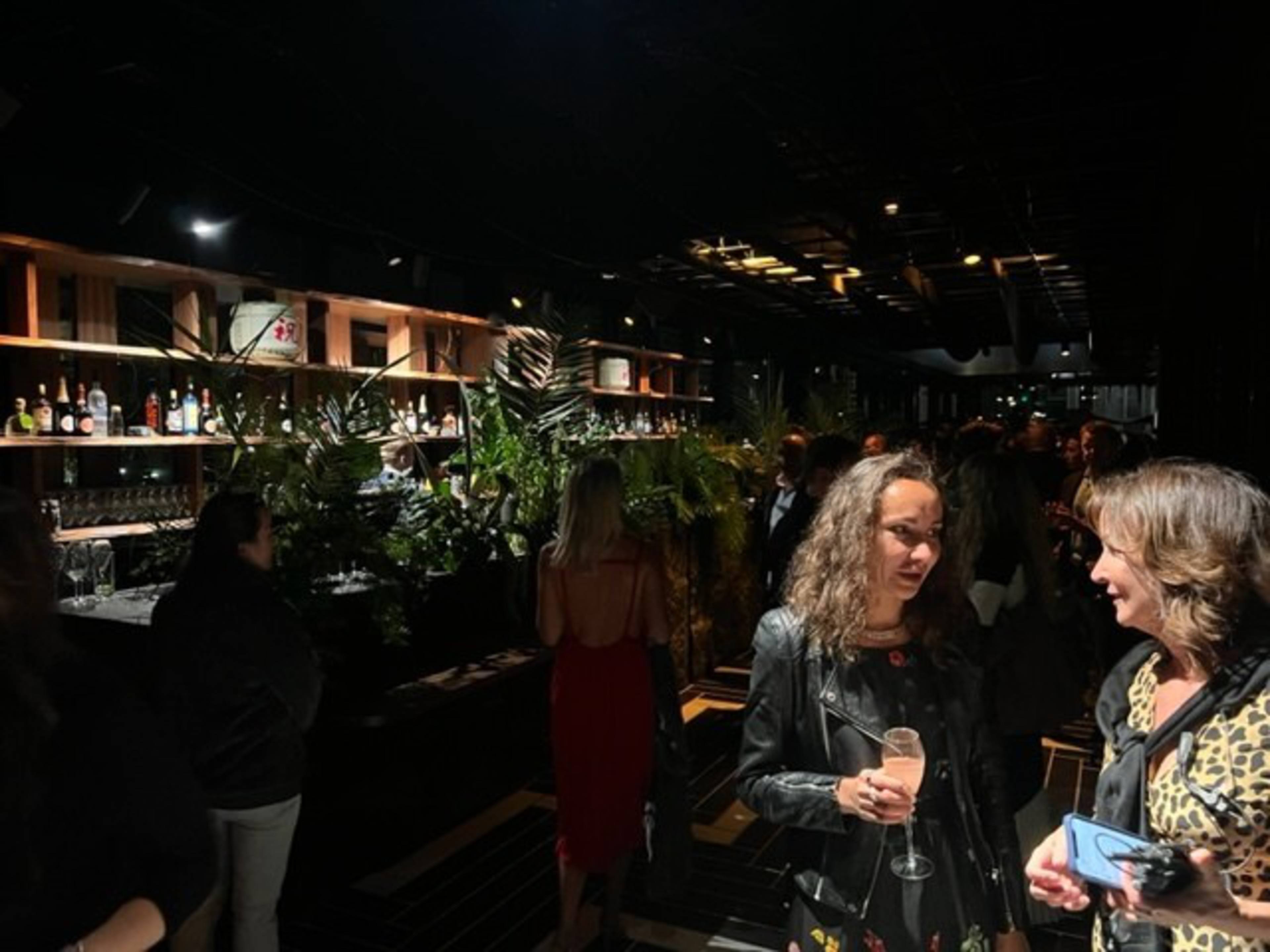 People are socializing in a dimly lit bar with shelves of bottles and lush green plants along the counter.