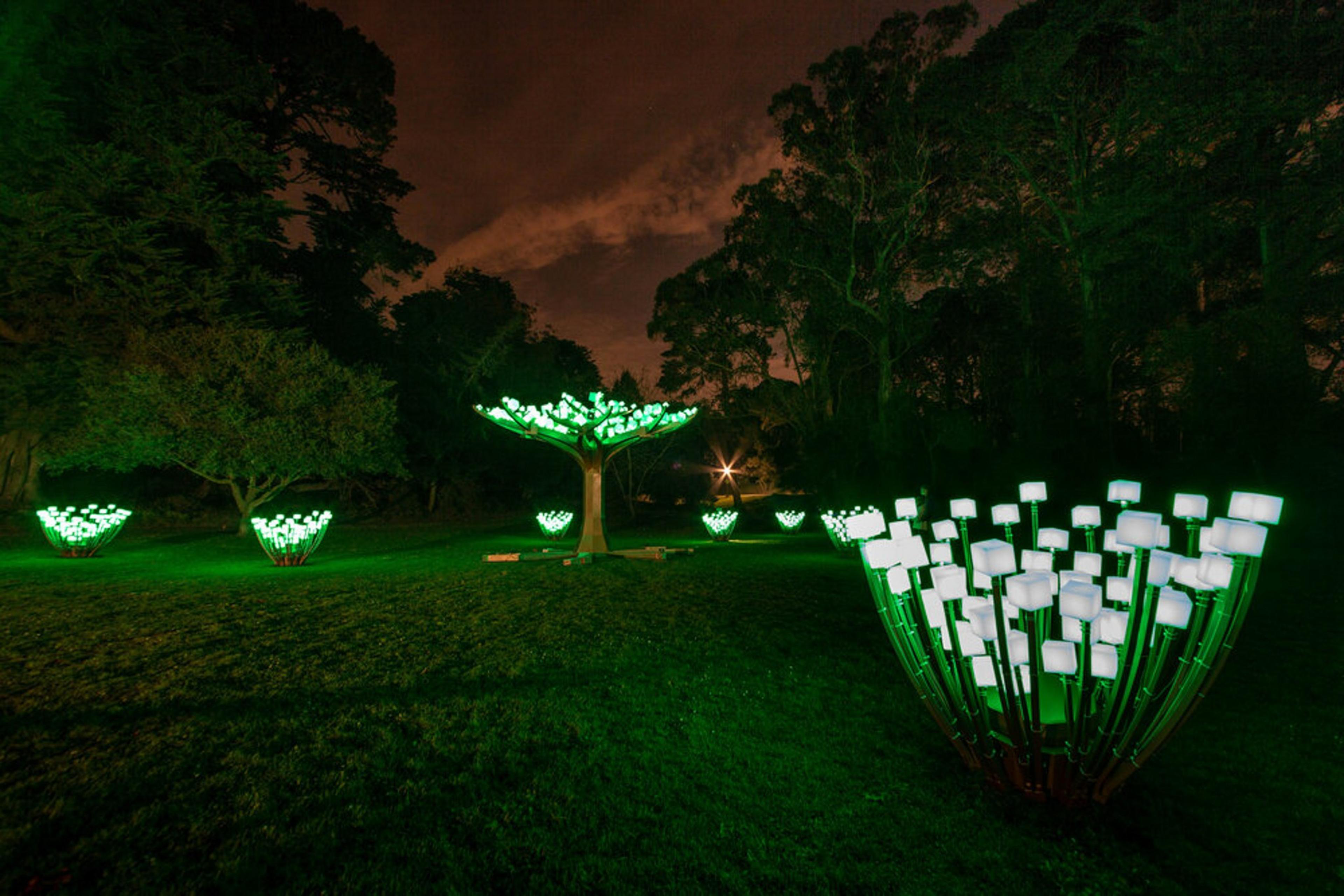 Glowing green light sculptures resembling flowers are scattered across a dark grassy area, with tall trees silhouetted against a cloudy night sky.