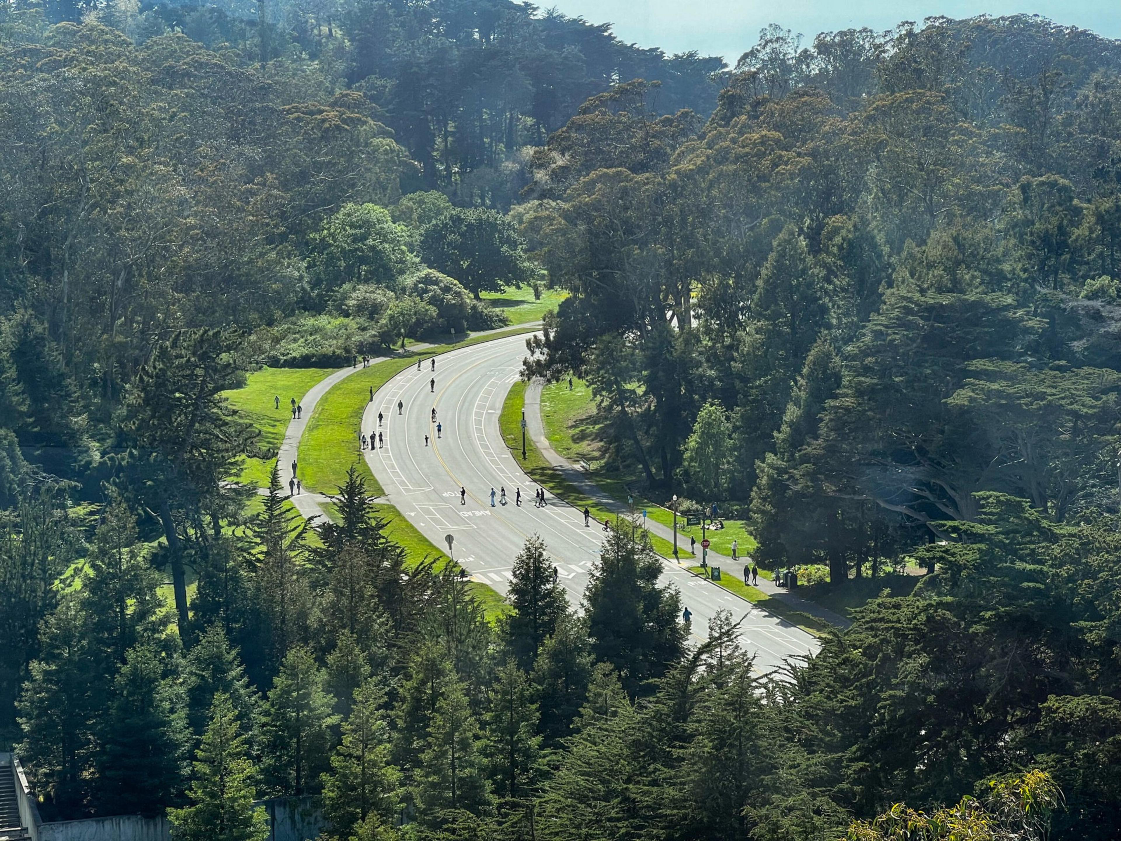 A curved track surrounded by lush green trees has people walking, cycling, and jogging on and alongside it under clear blue skies.