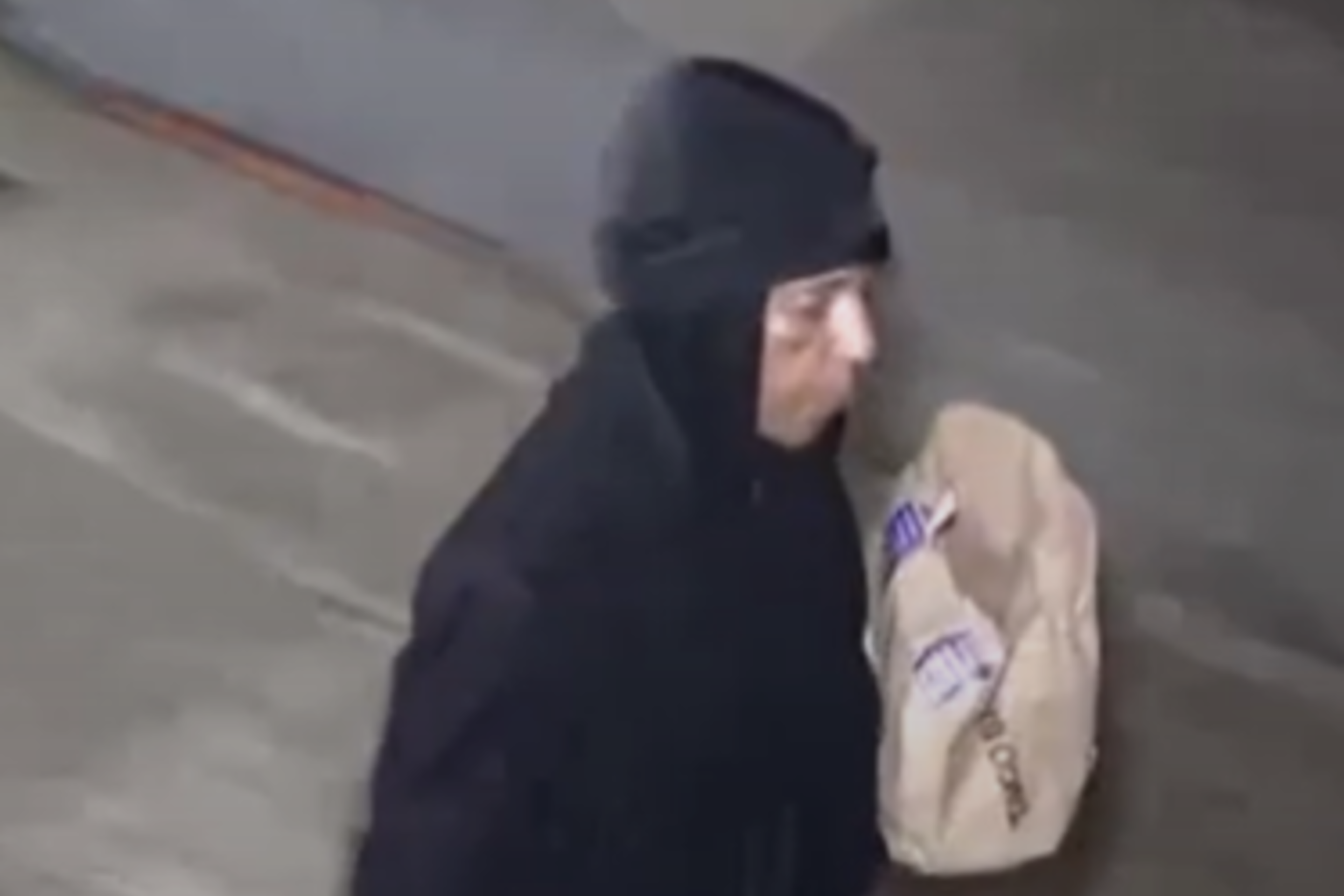A person is seen in a still image of surveillance footage carrying a brown paper bag.