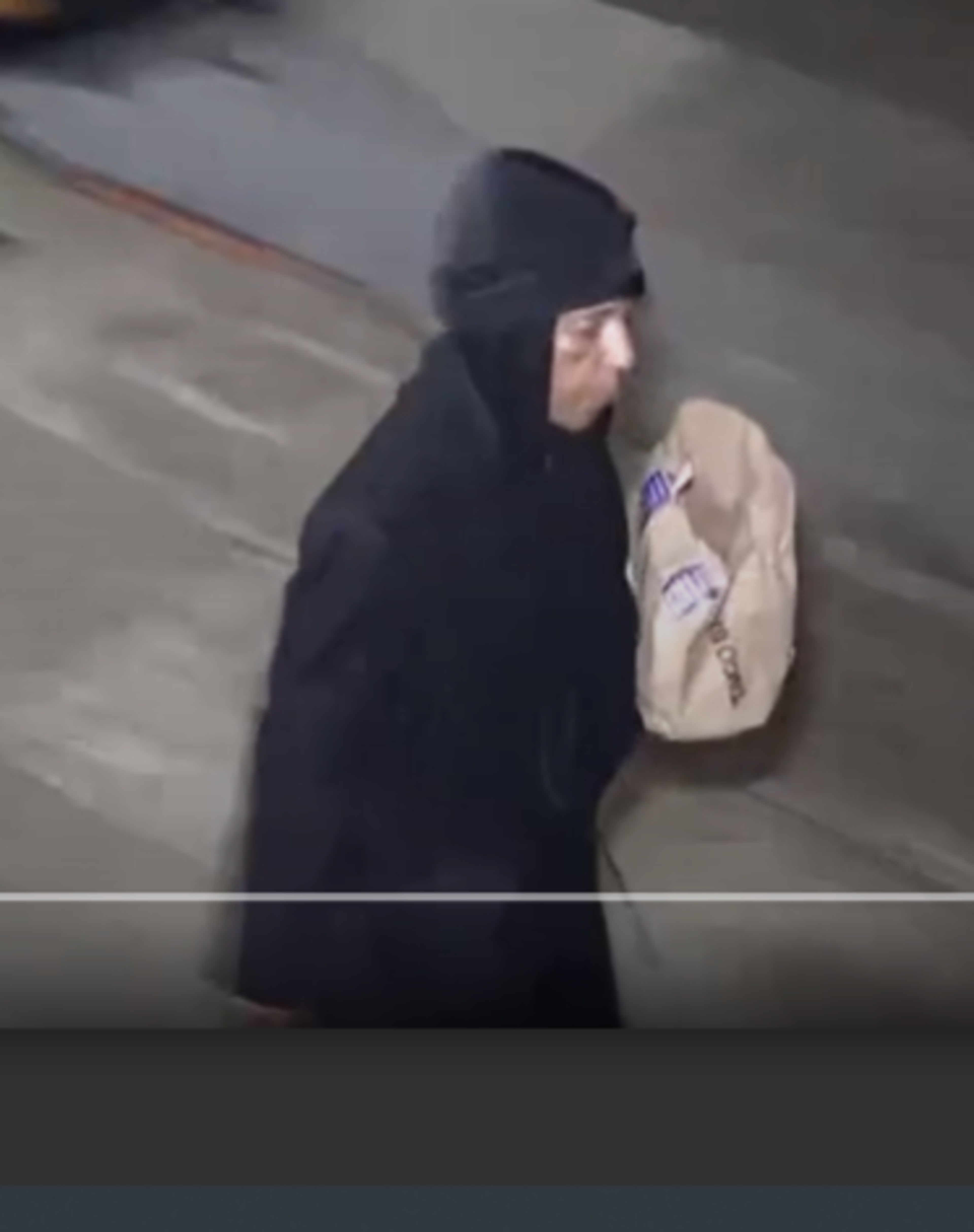A person is seen in a still image of surveillance footage carrying a brown paper bag.