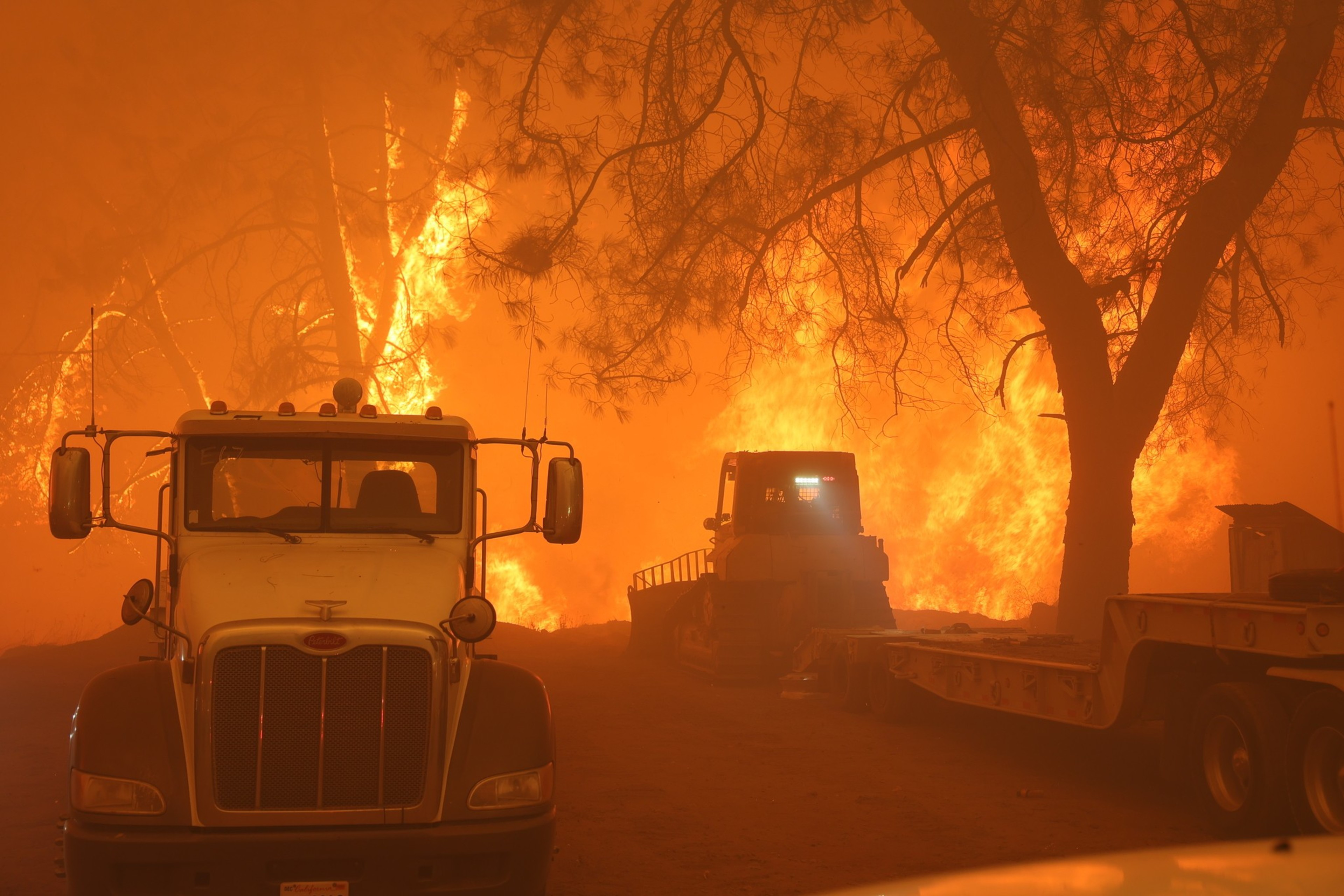 A truck and construction vehicle are parked under a tree amidst an intense forest fire, with massive flames engulfing the background and smoke filling the sky.