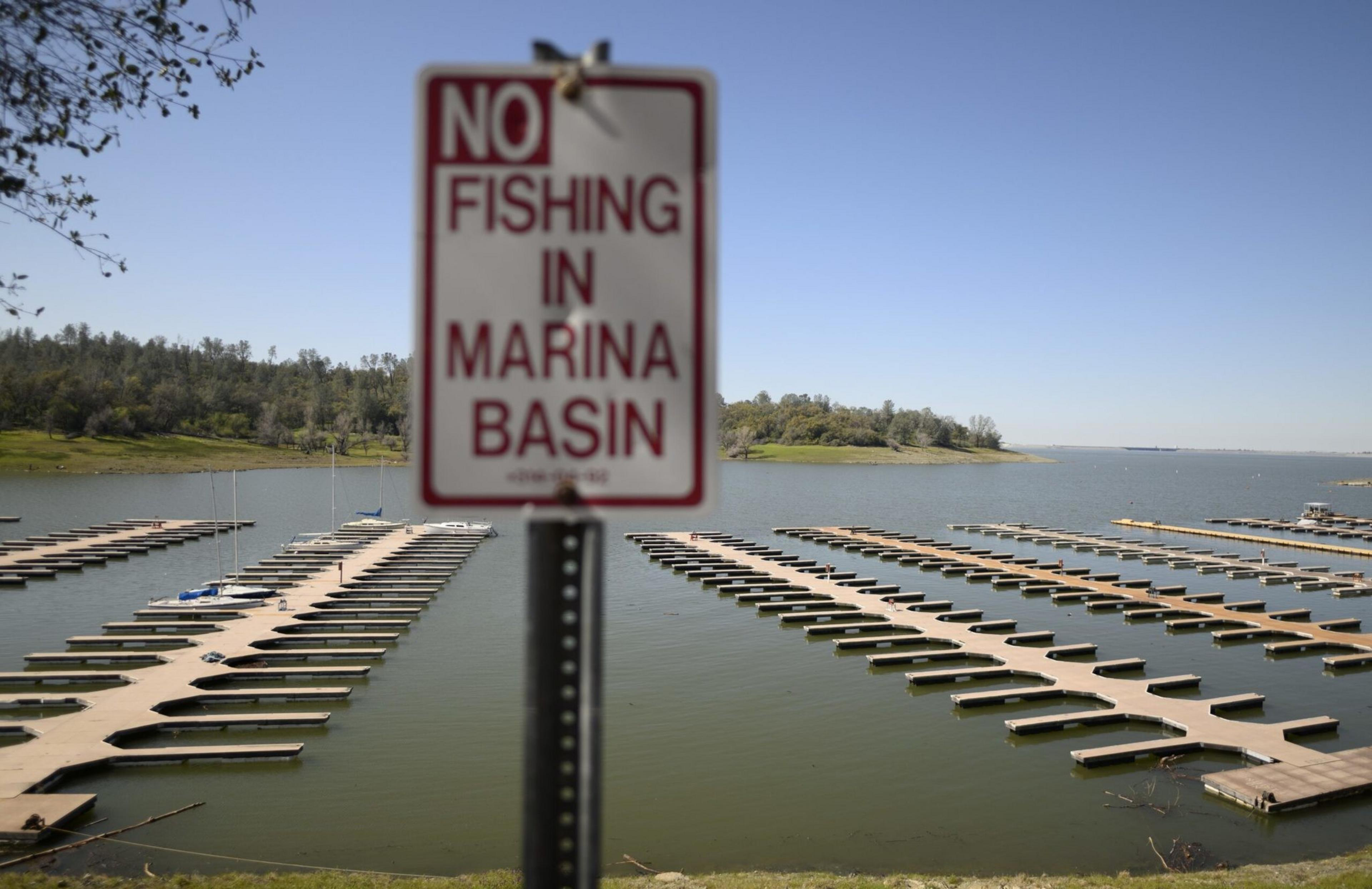 A "No Fishing in Marina Basin" sign stands in front of empty boat docks extending into a calm body of water under a clear blue sky.