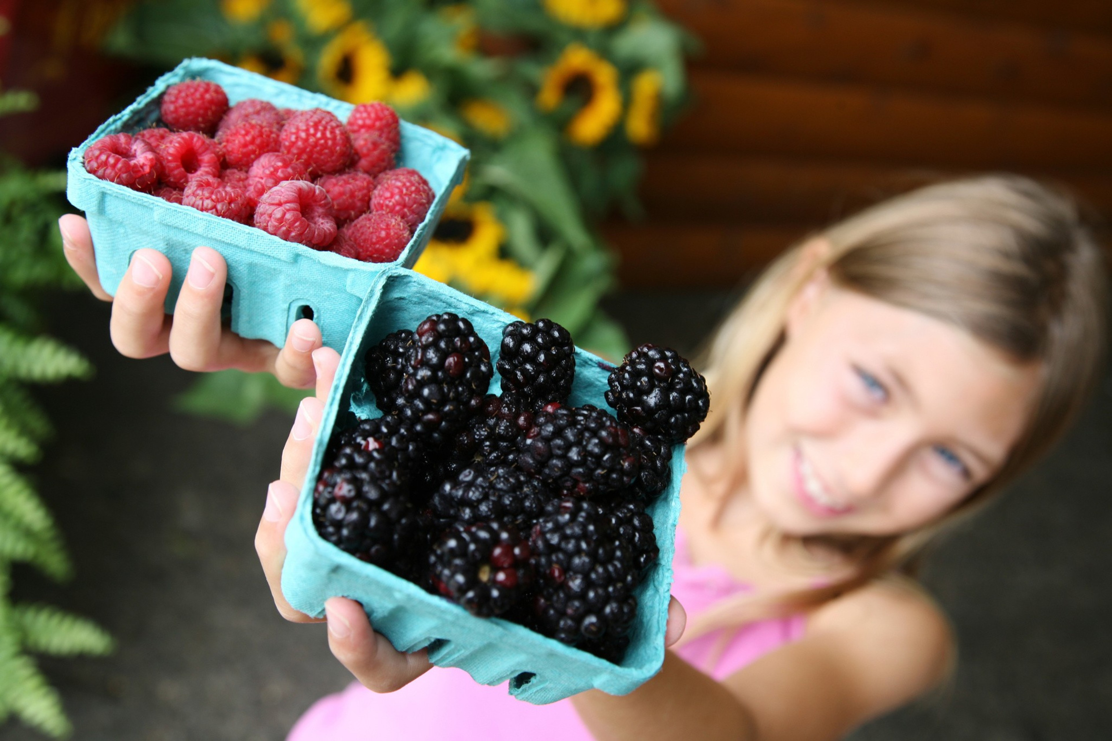 A smiling girl holds up two baskets: one with fresh red raspberries and the other with blackberries, against a background of lush greenery and yellow flowers.