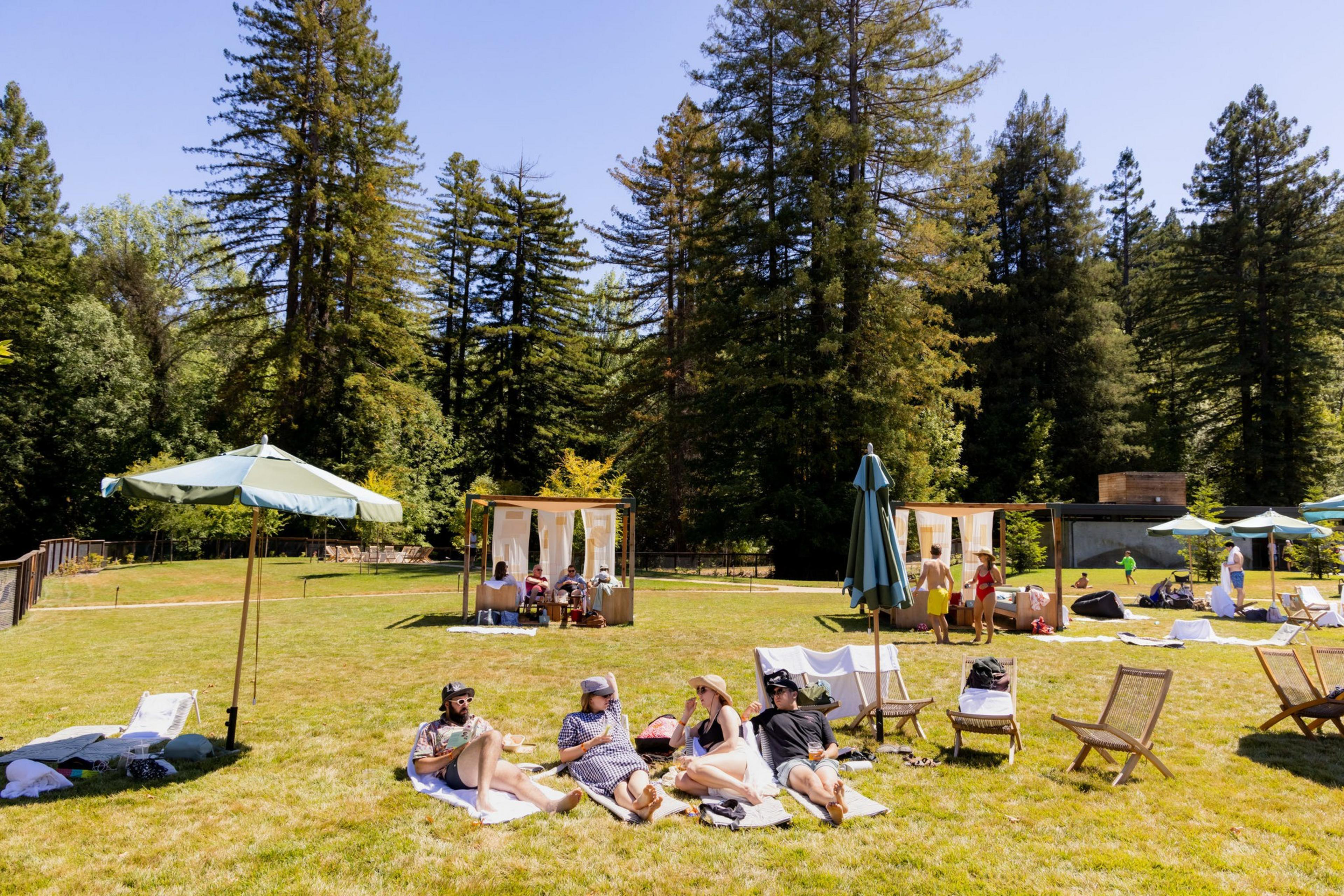 The River Electric lawn
