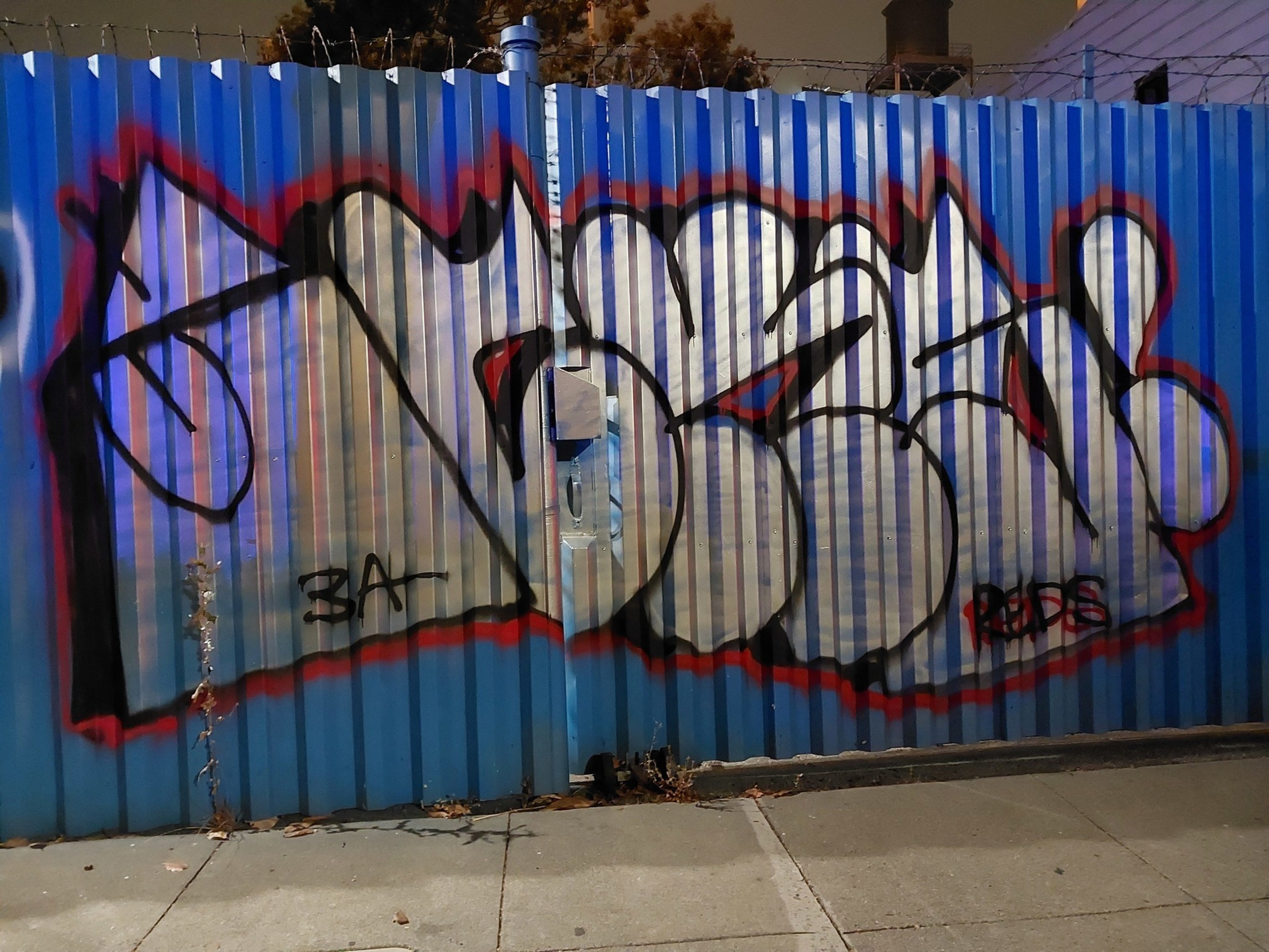 A blue corrugated metal fence is covered with stylized graffiti in bold black and silver letters, outlined in red. The ground is covered with some fallen leaves.