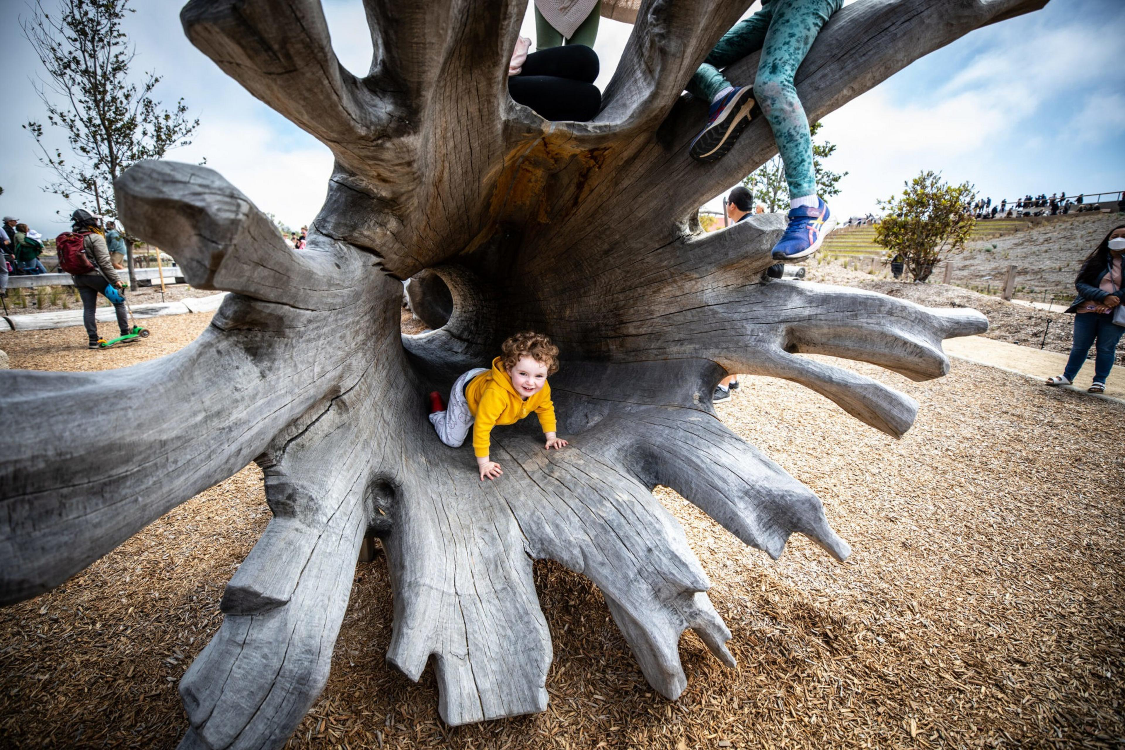 A child in a yellow jacket crawls inside a large hollow tree trunk structure, while other children climb on top and people stand around in a playground.