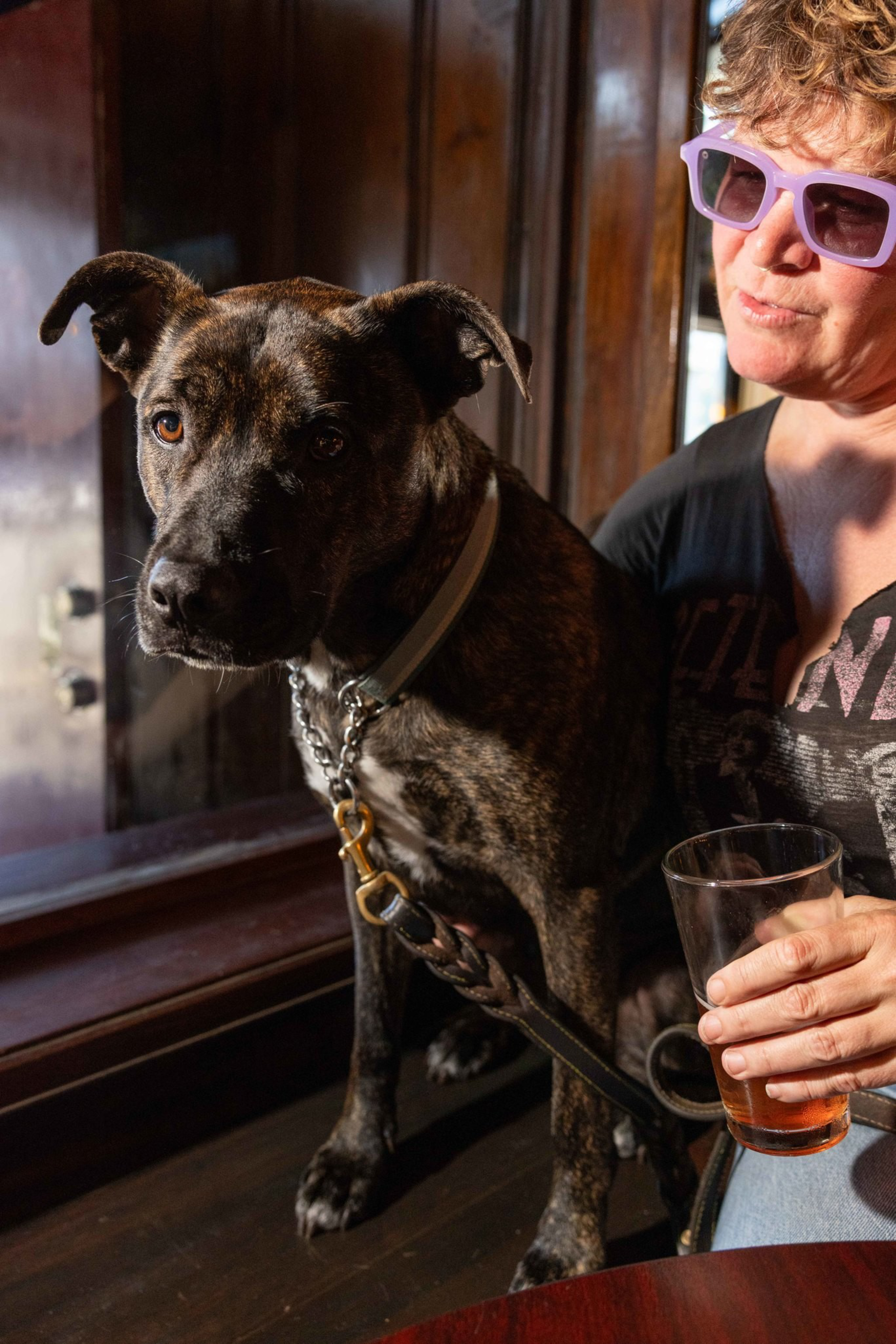 A brindle dog with a collar and leash sits next to a person wearing purple sunglasses, holding a glass with a drink inside.