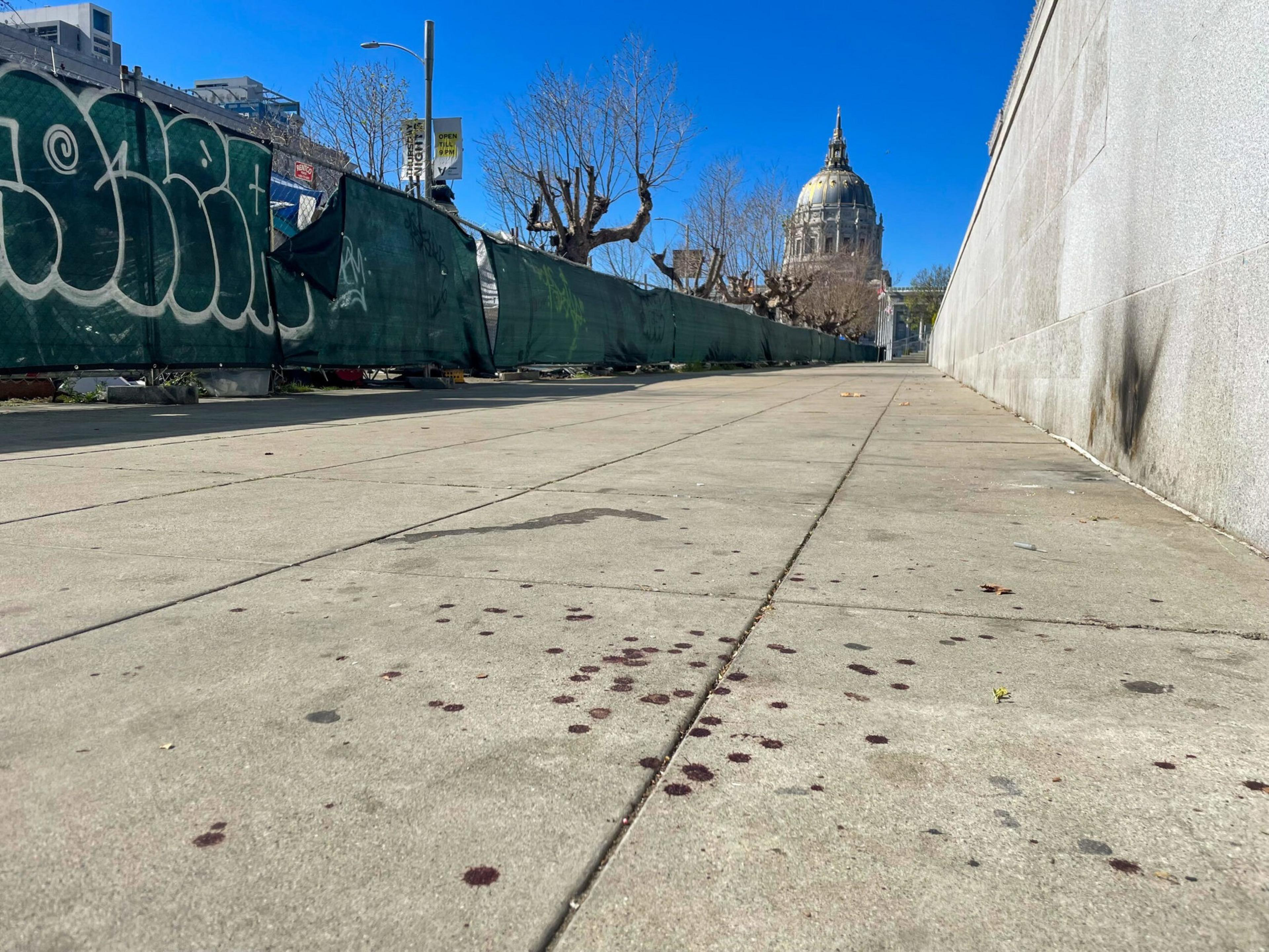 A low-angle view of a paved walkway with dark spots, green fence with graffiti on the left, bare trees, and a domed building in the distance under a clear blue sky.