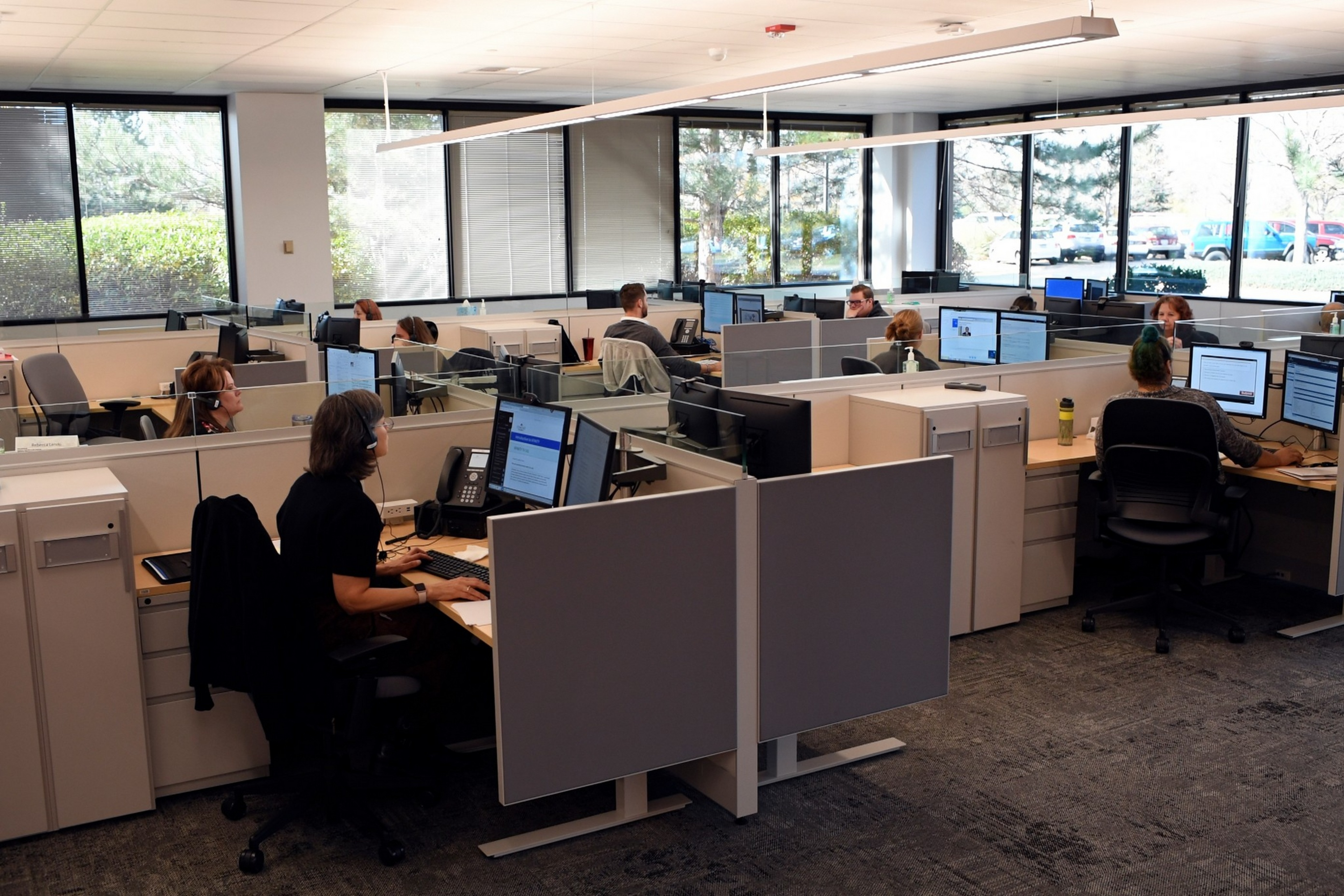 Several people work at individual cubicles in a well-lit office with large windows showing greenery outside, each focused on their computer screens.