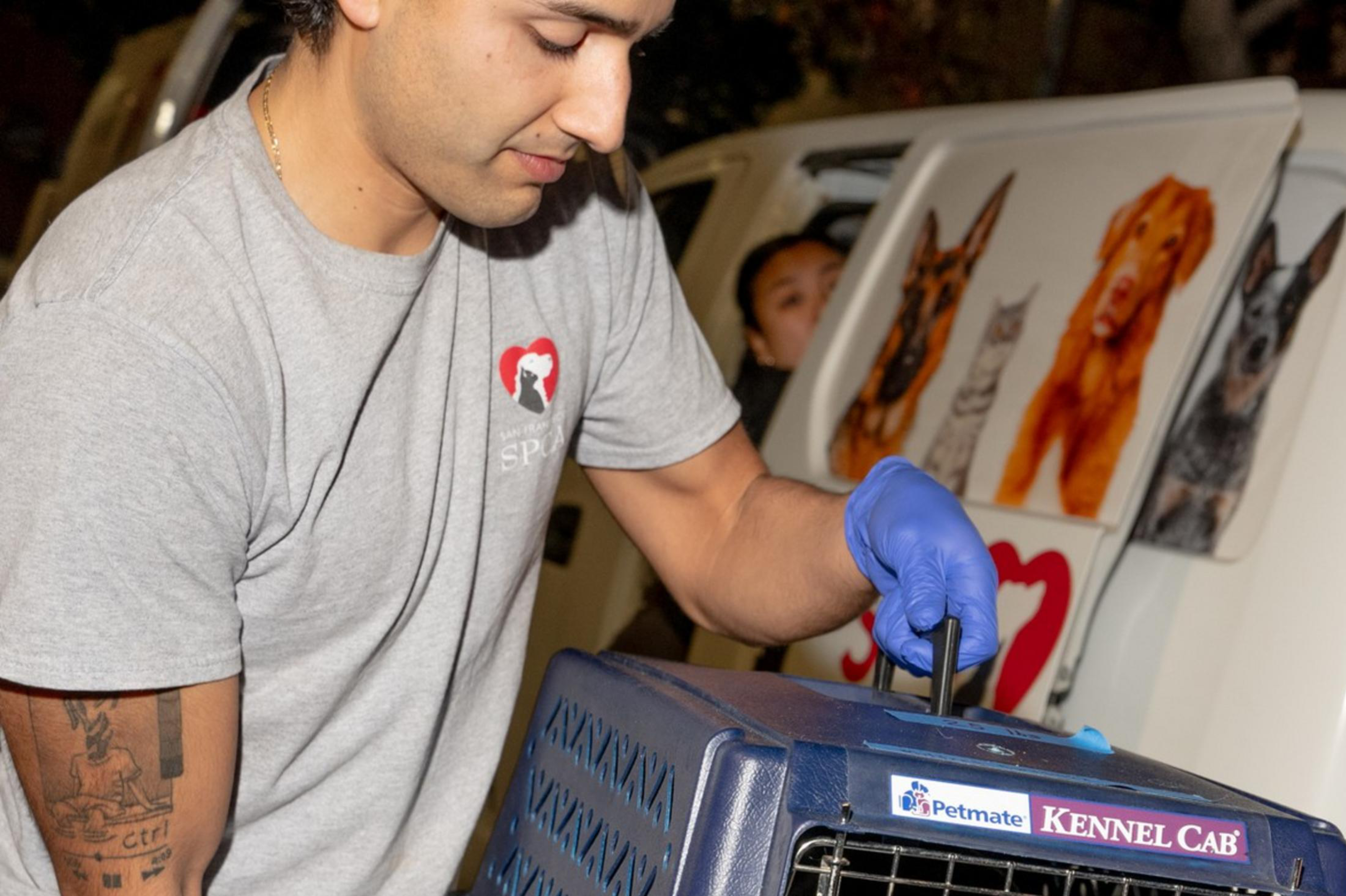 A person in a gray shirt and blue gloves is holding a pet carrier with a dog inside. They stand beside a vehicle with "SF" and animal photos on it.