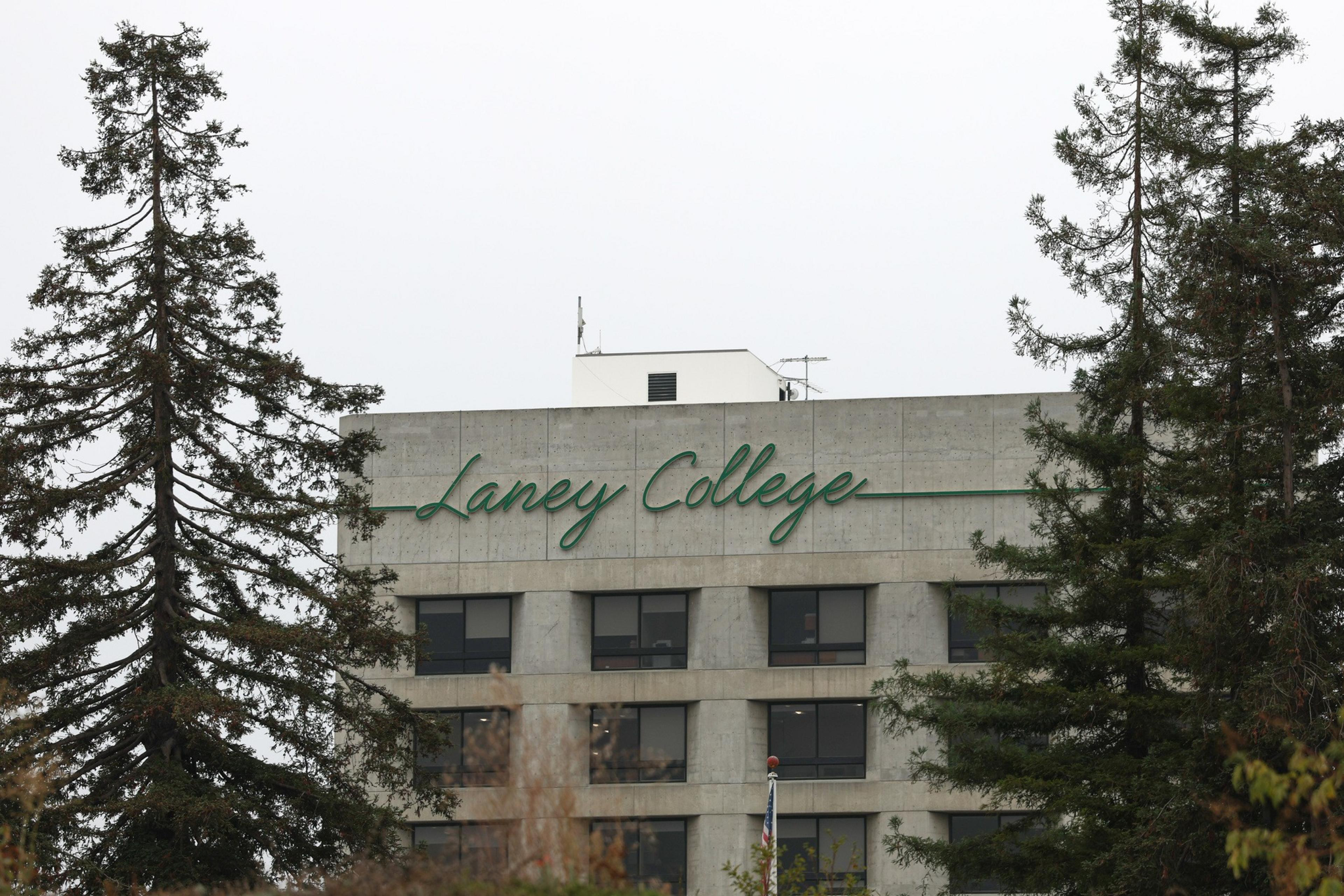 A concrete building with "Laney College" written in green cursive lettering near the top, framed by tall evergreen trees on both sides.