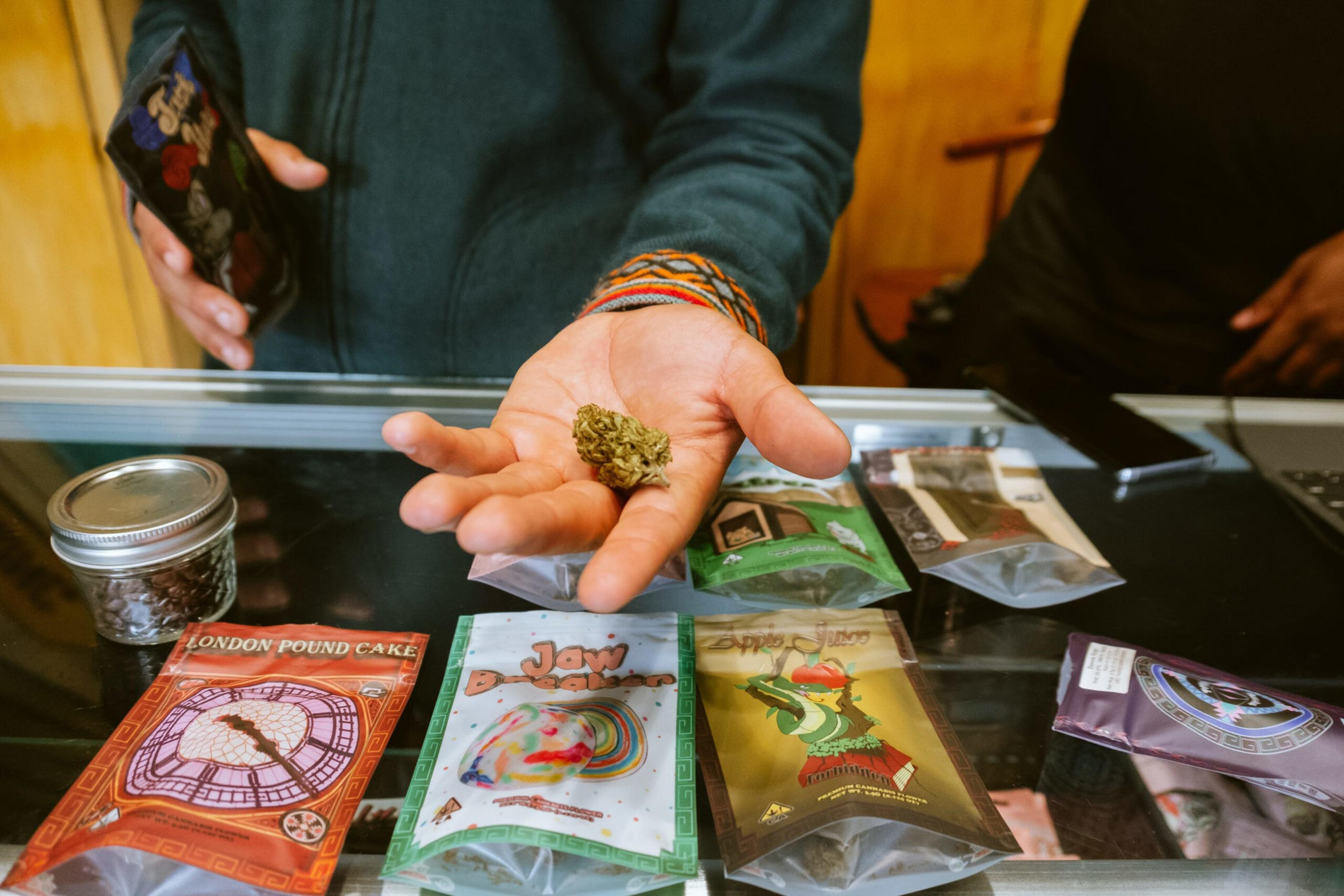 A person holds a small cannabis bud in their hand over a glass counter displaying various colorful packaged cannabis products.