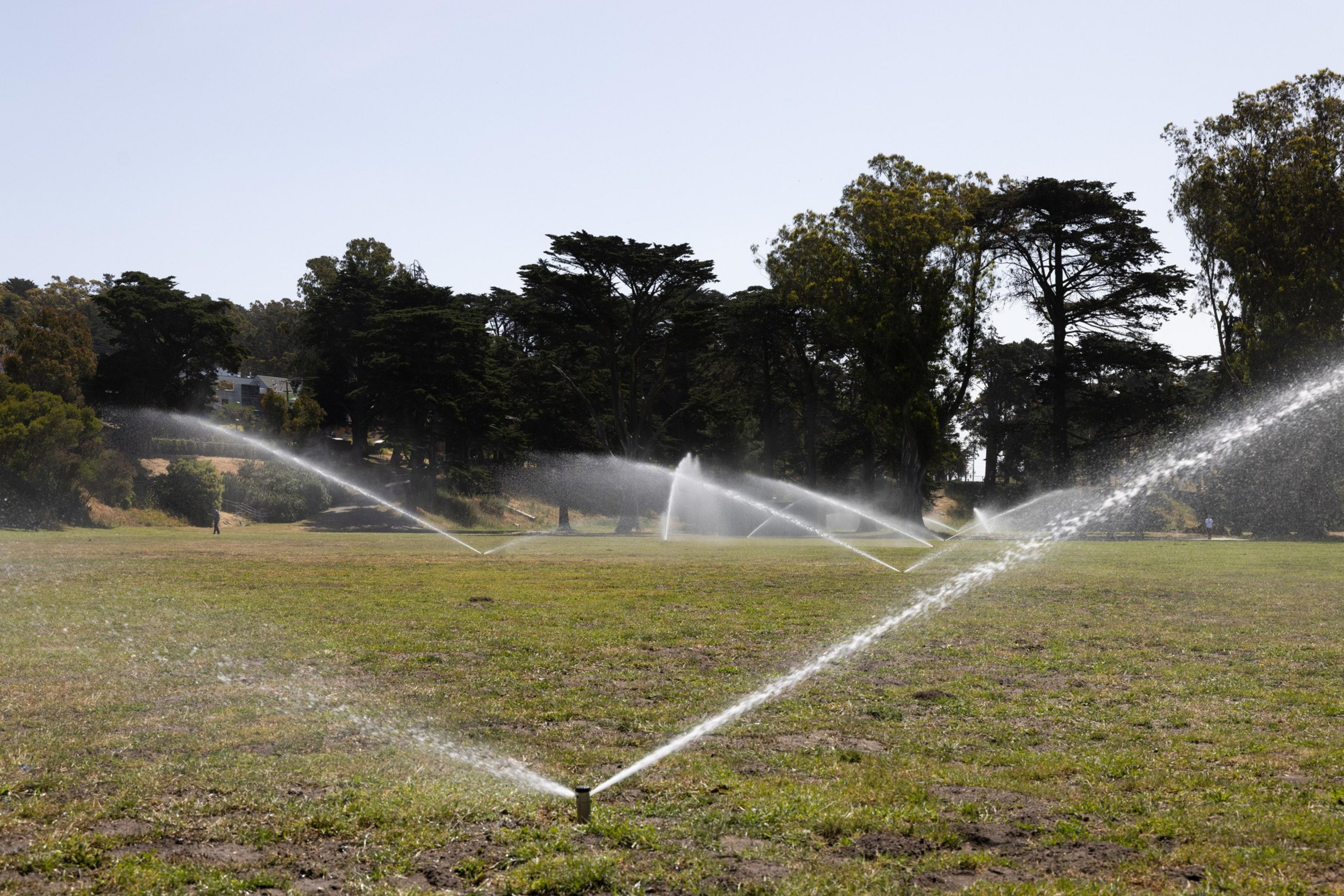 Sprinklers spray water across a large, grassy field surrounded by tall trees on a clear, sunny day. The scene is peaceful and well-lit.