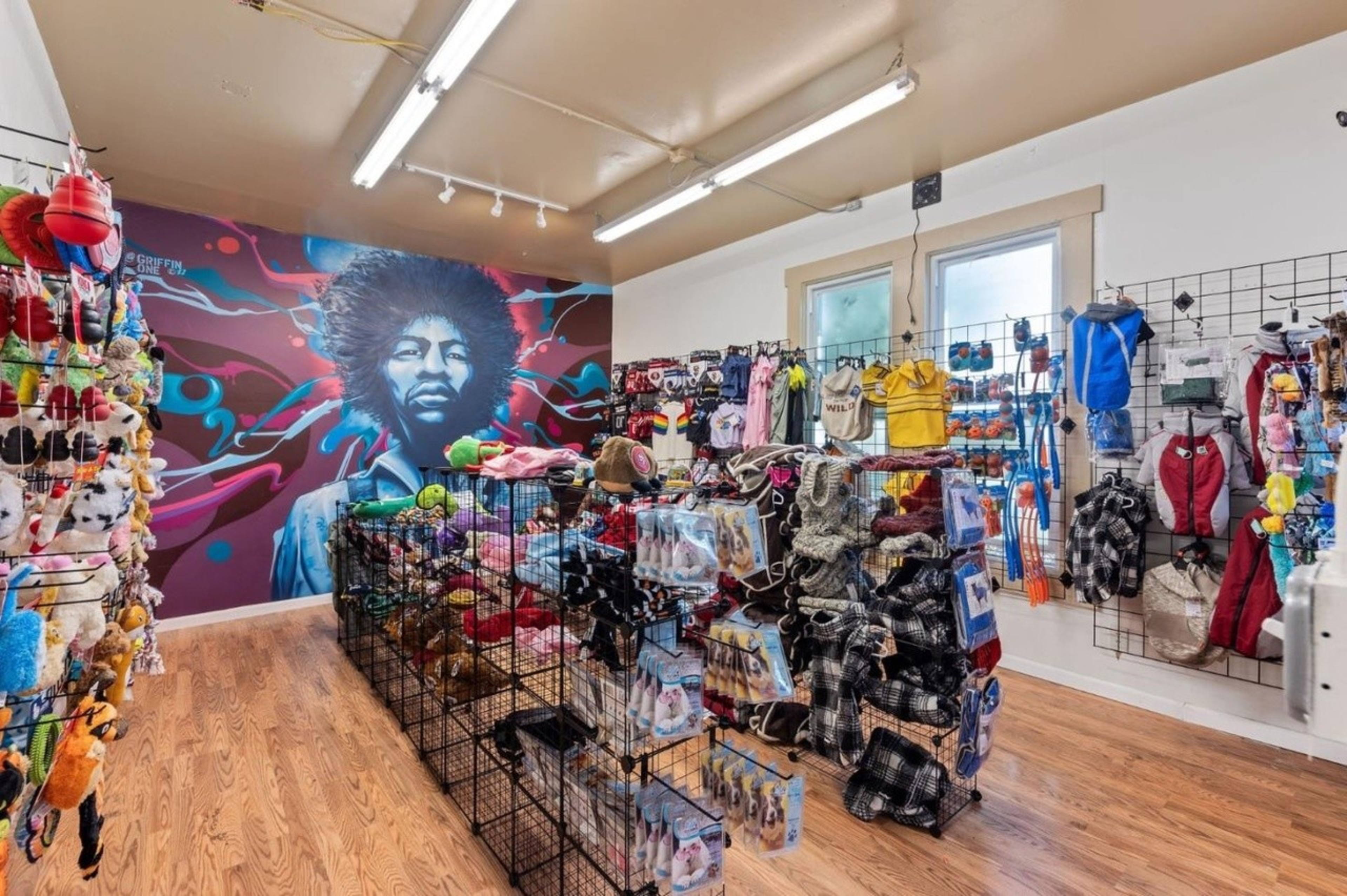 A pet store with colorful toys and apparel, featuring a vibrant mural of a person with an afro on the wall. Brightly lit, wooden floors.