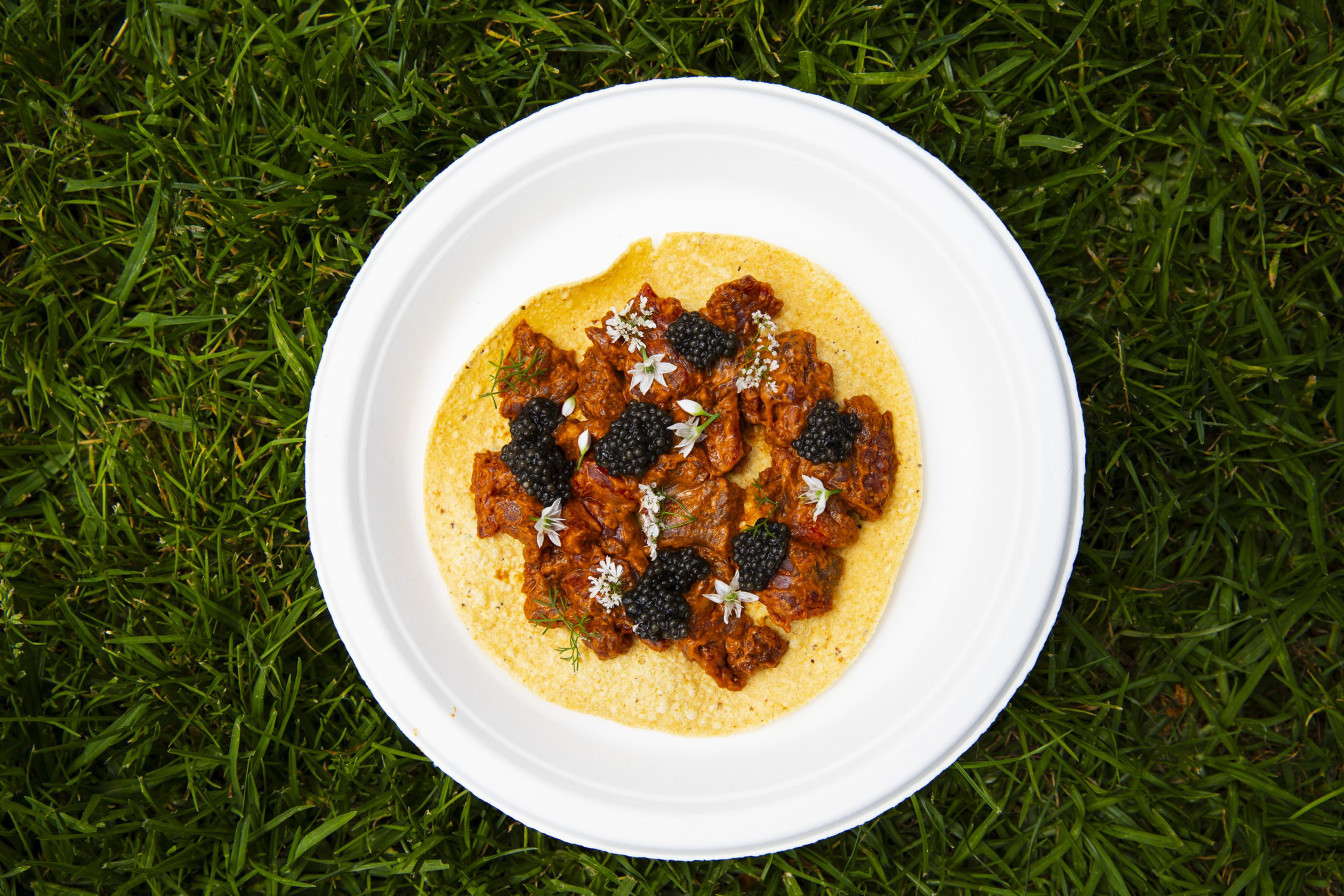 A white plate with a creamy yellow base topped with chunks of reddish meat, blackberries, and small white edible flowers sits on green grass.