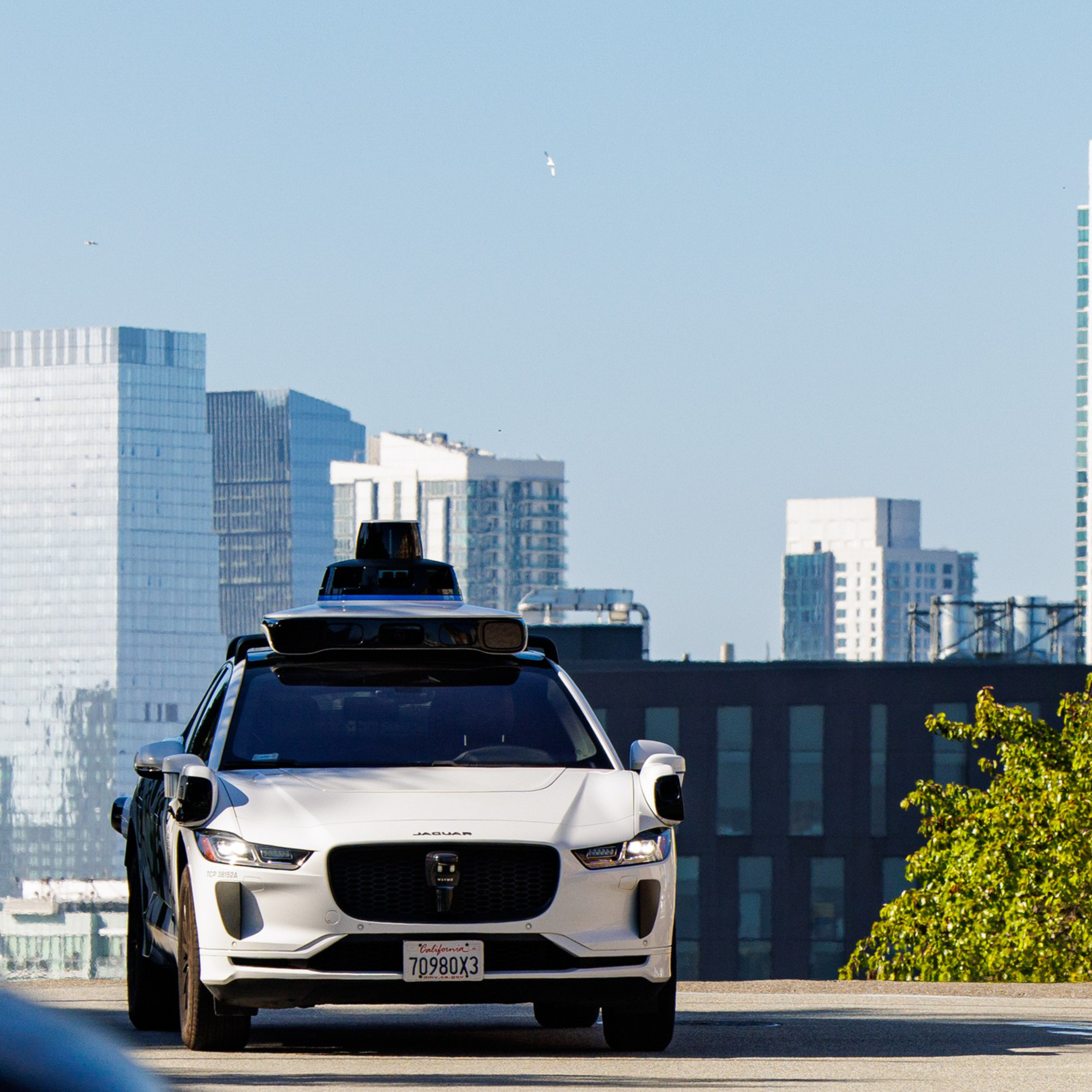 sfstandard.com - Natallie Rocha - State OKs Waymo trips to East Bay, wine country